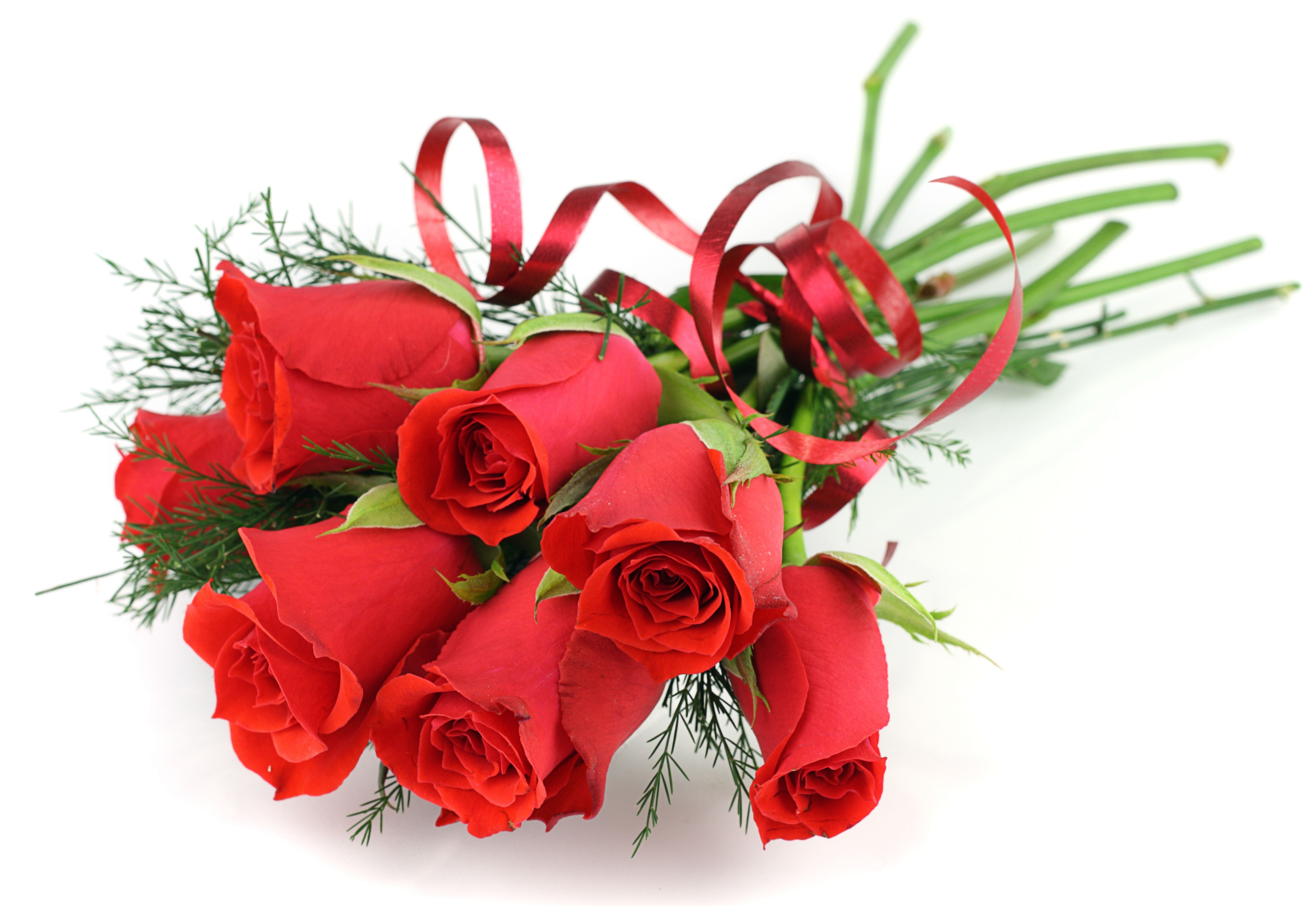 Bouquet of red roses with ribbon HD Wallpaper