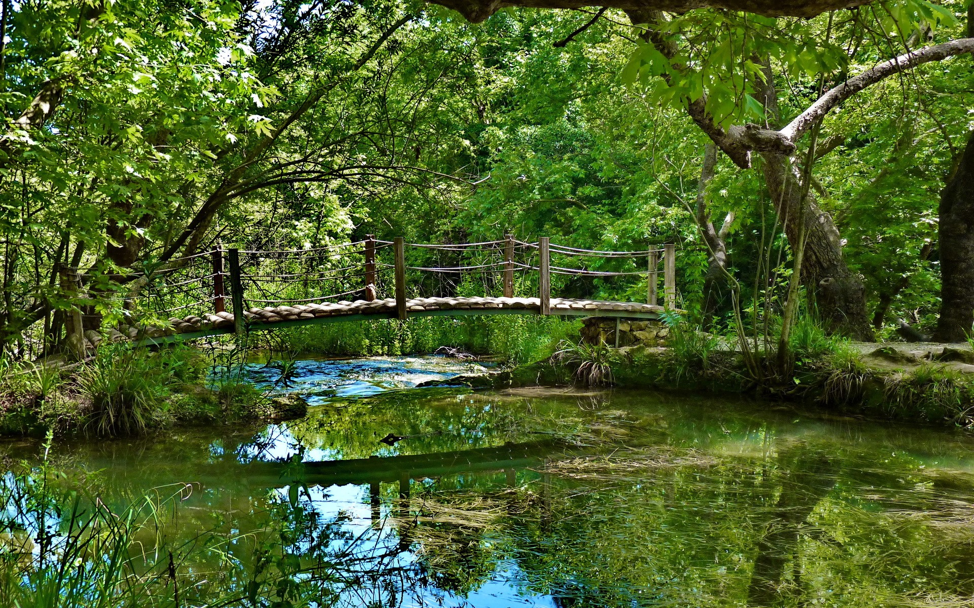 Wooden bridge over a stream in a forest HD Wallpaper
