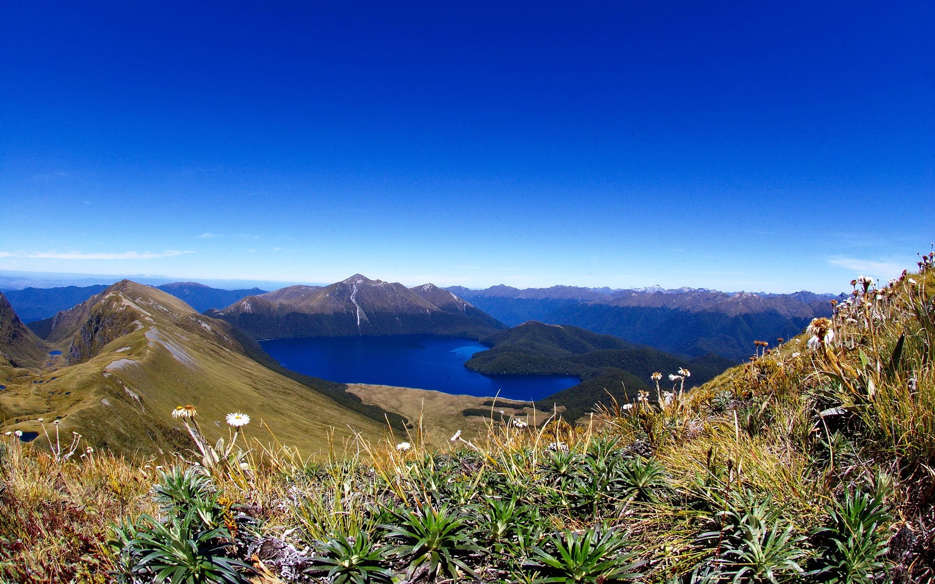 Mountain lake landscape with wildflowers HD Wallpaper