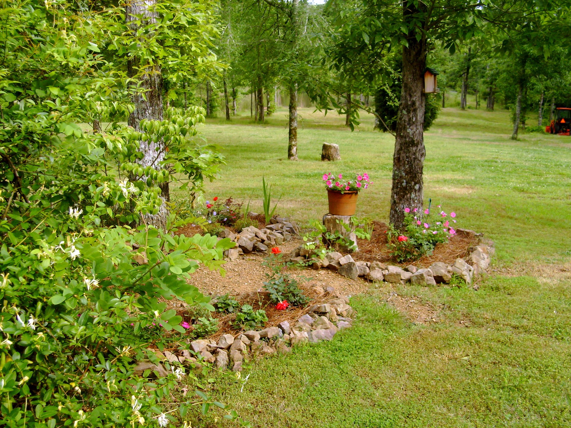 Garden with flowers and trees HD Wallpaper