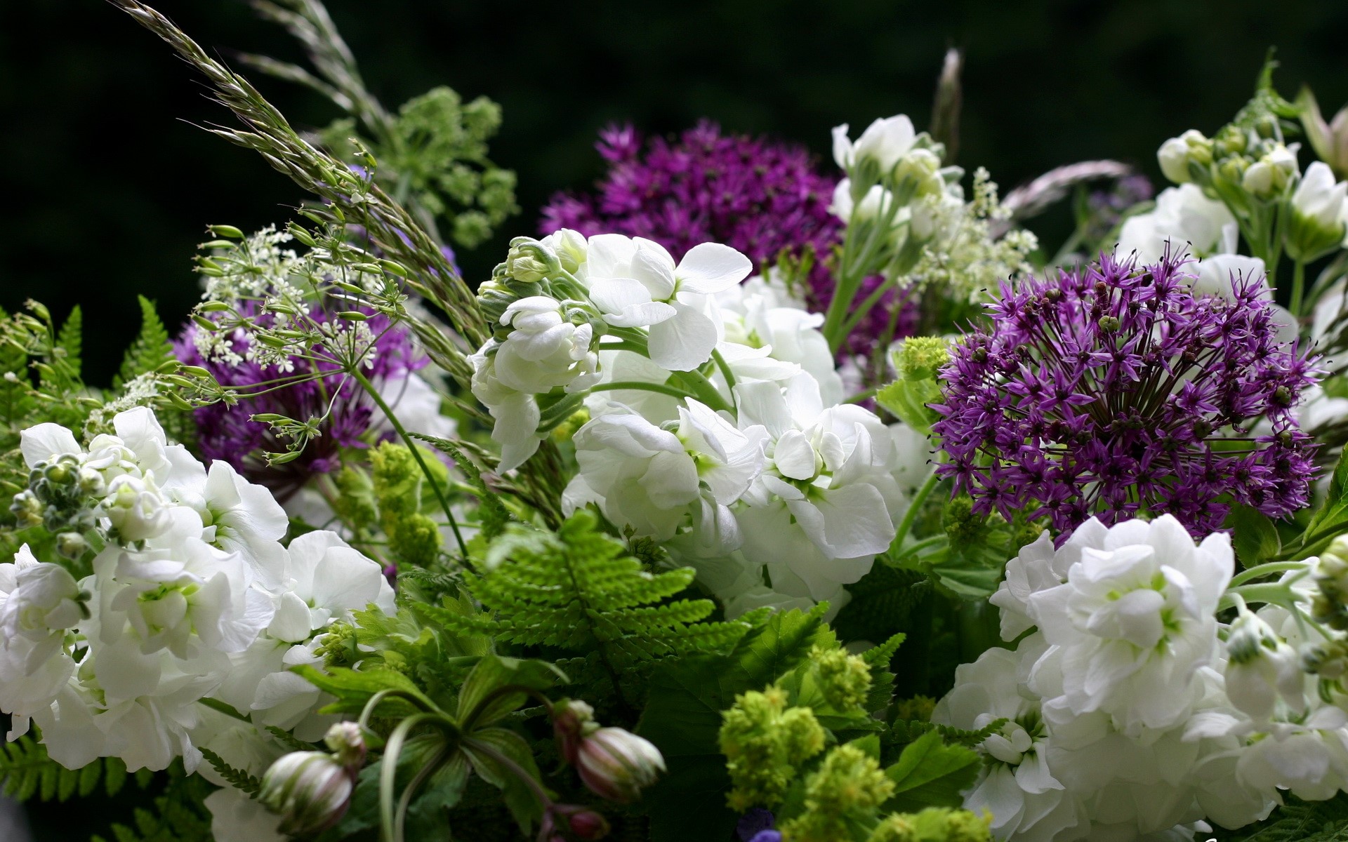 Bouquet of white and purple flowers with greenery HD Wallpaper