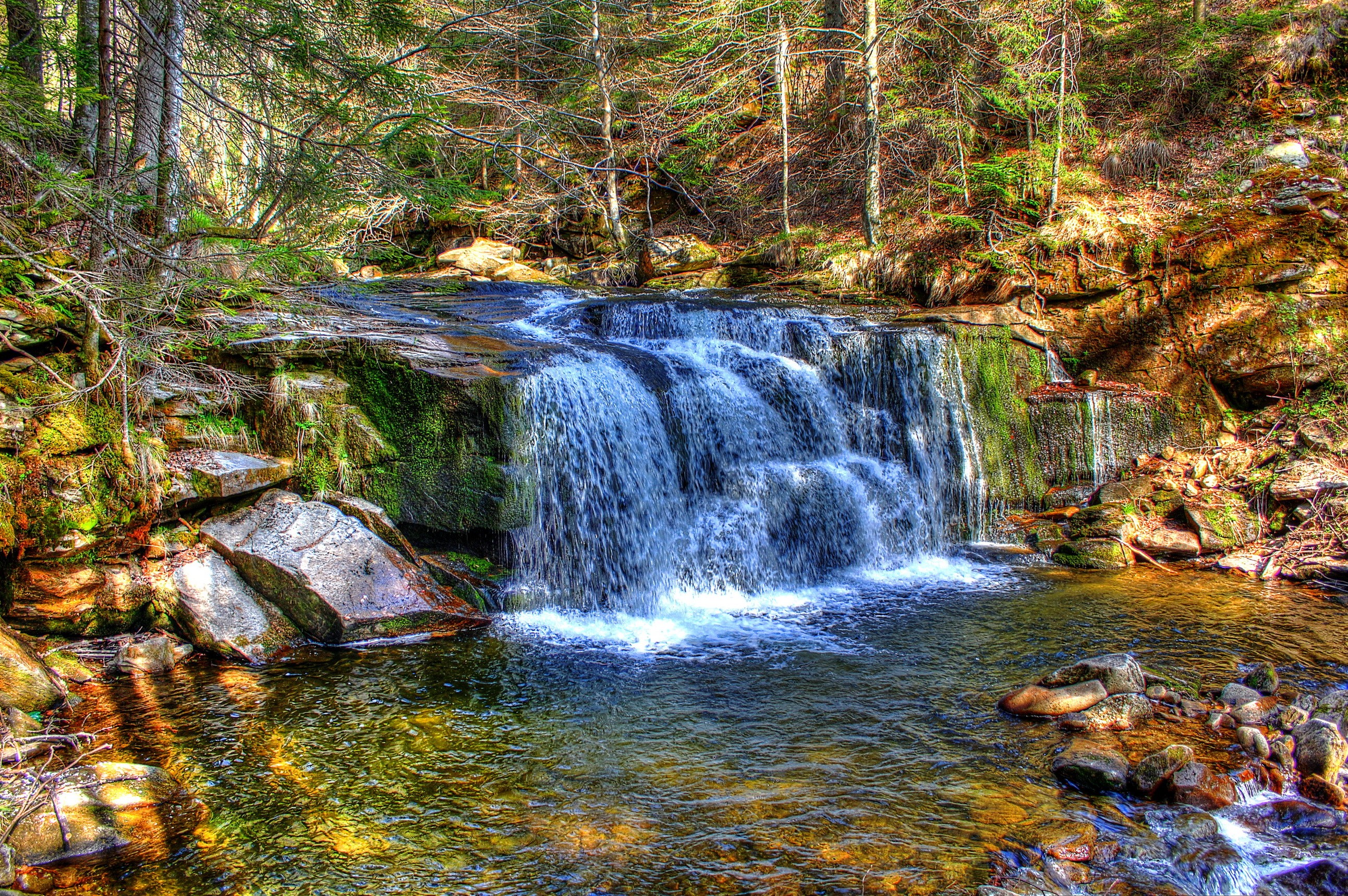 Waterfall in a forest stream HD Wallpaper