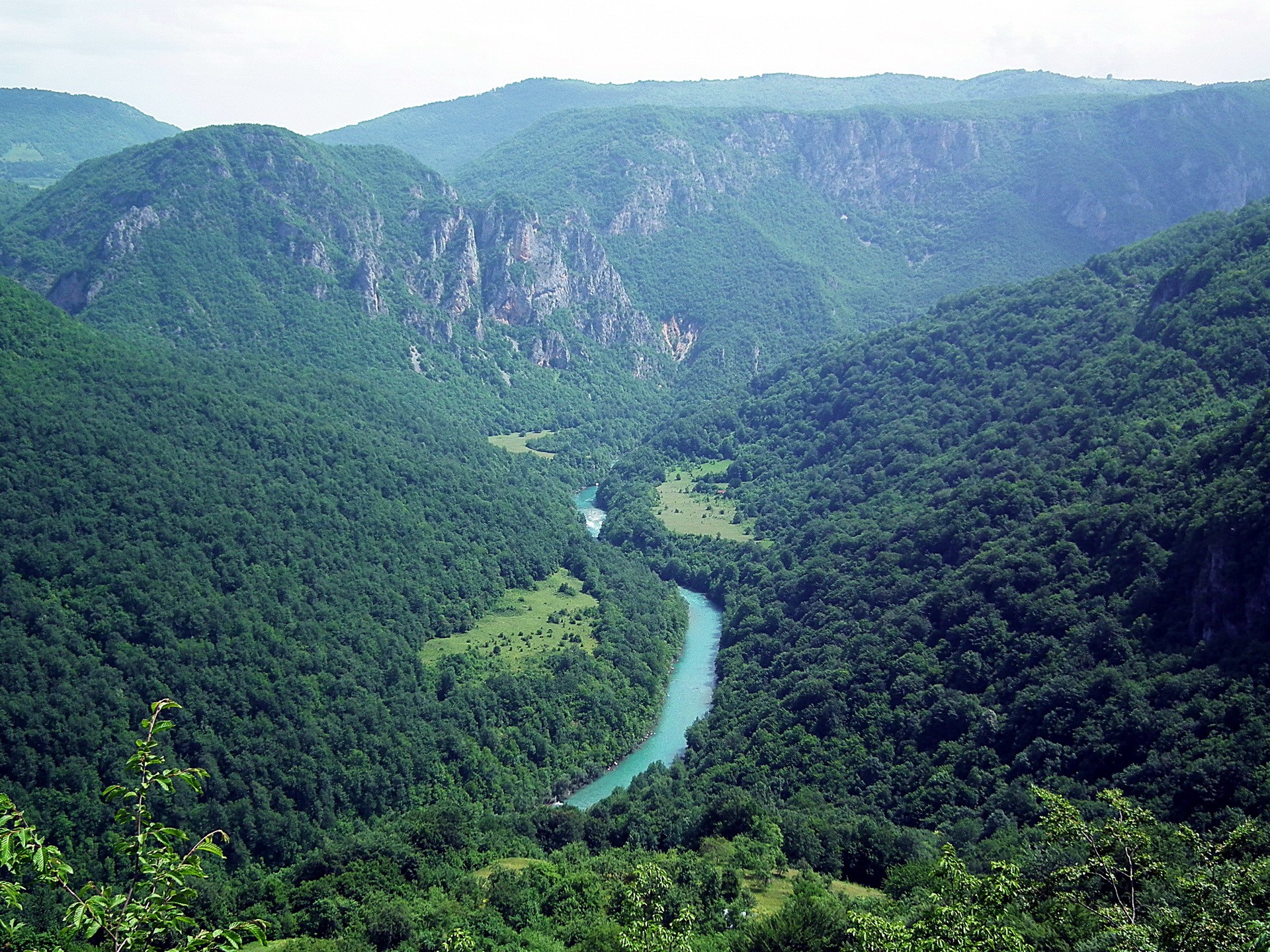 River flowing through a lush green mountain canyon HD Wallpaper
