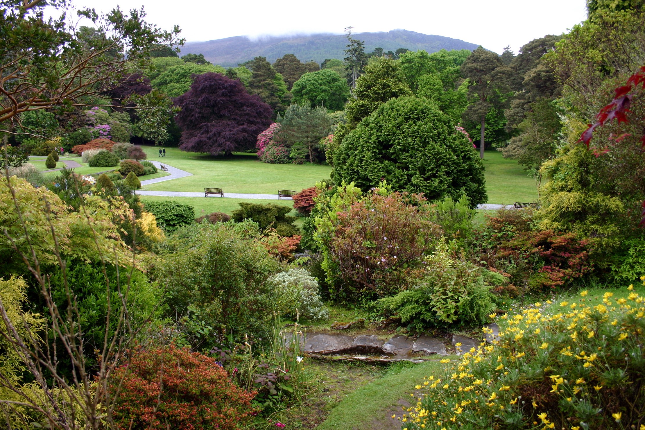 Beautiful botanical garden with winding paths and diverse flora HD Wallpaper
