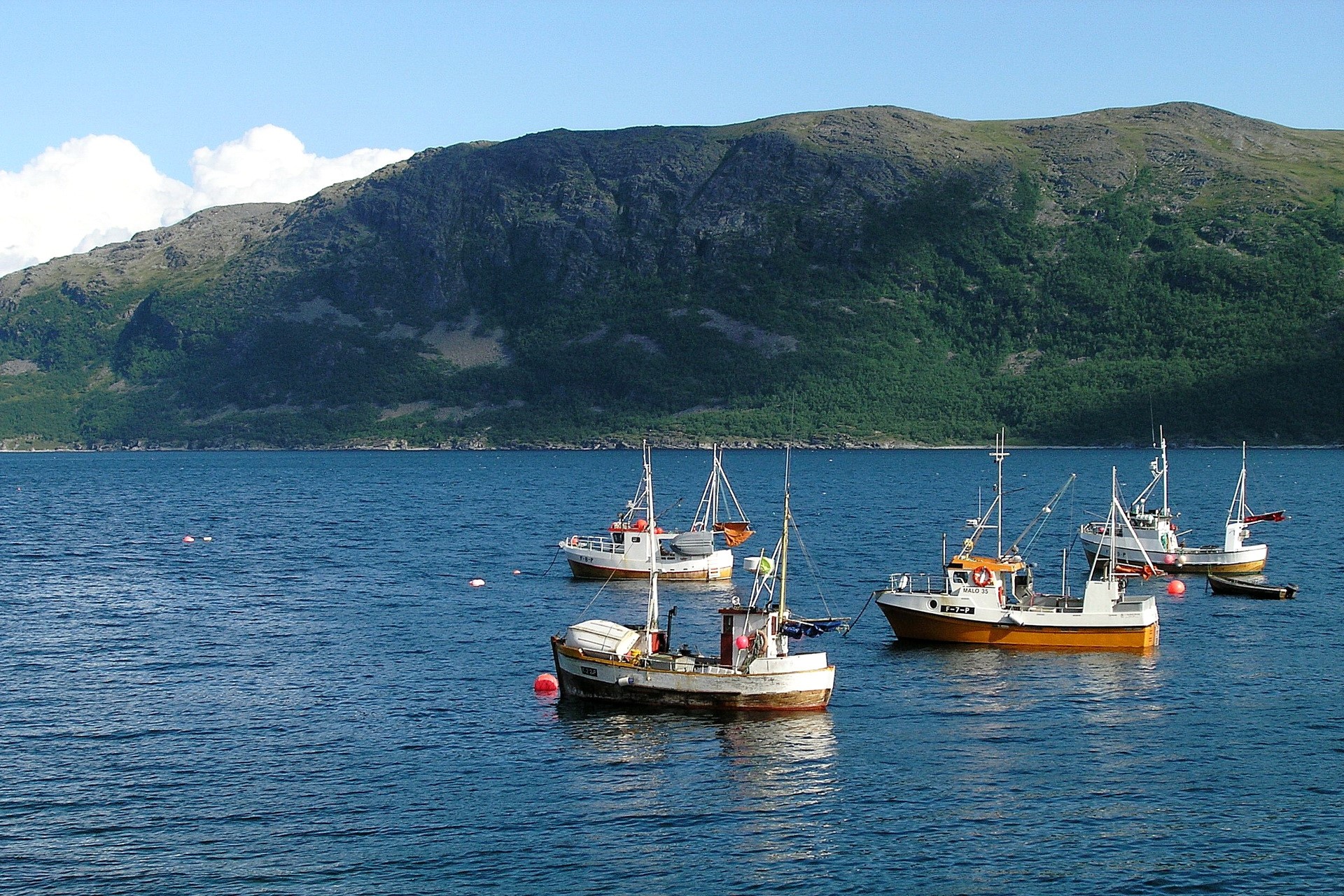Fishing boats anchored in a bay with a mountain backdrop HD Wallpaper