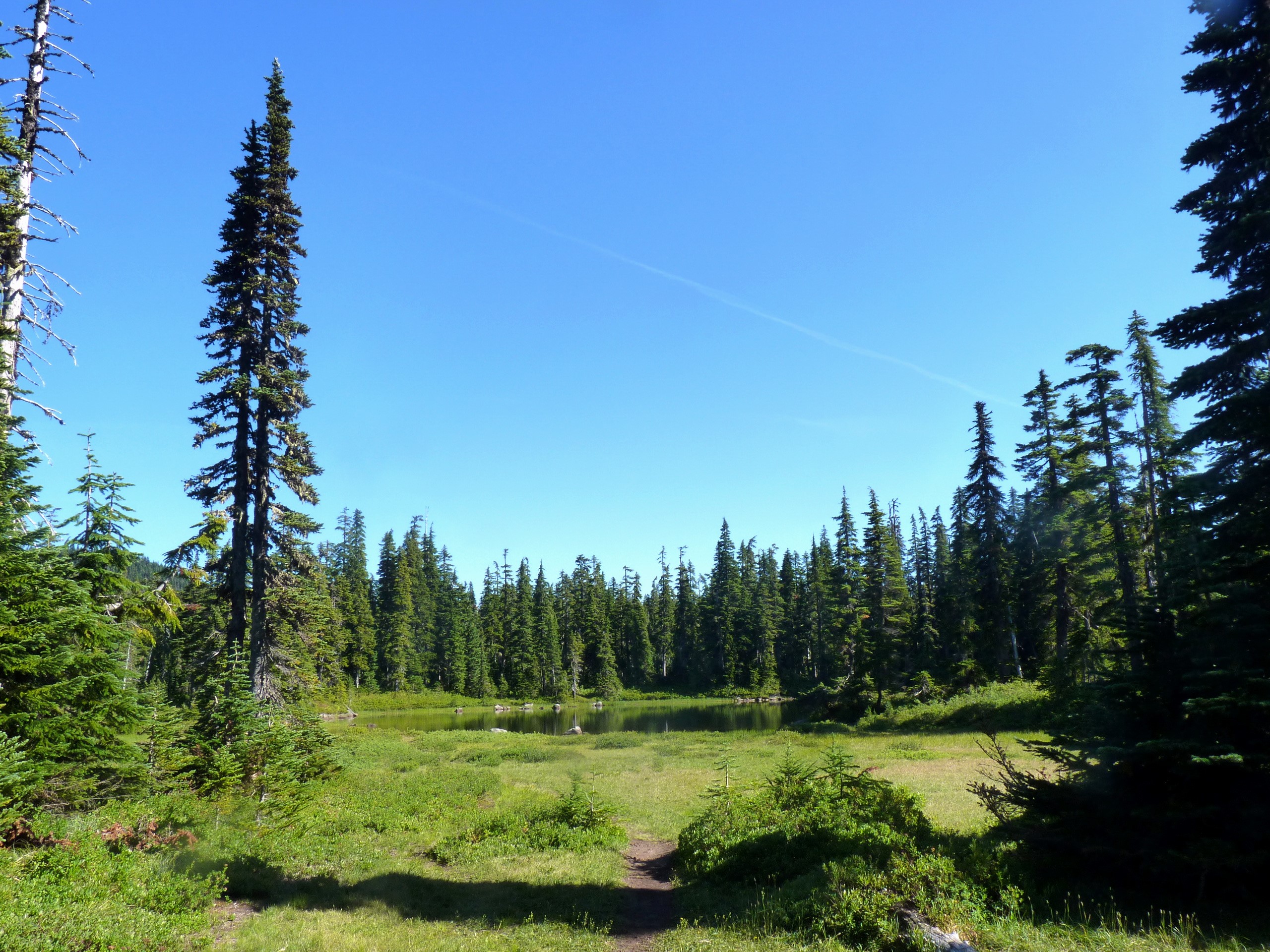 Gifford Pinchot National Forest Washington USA HD Wallpaper