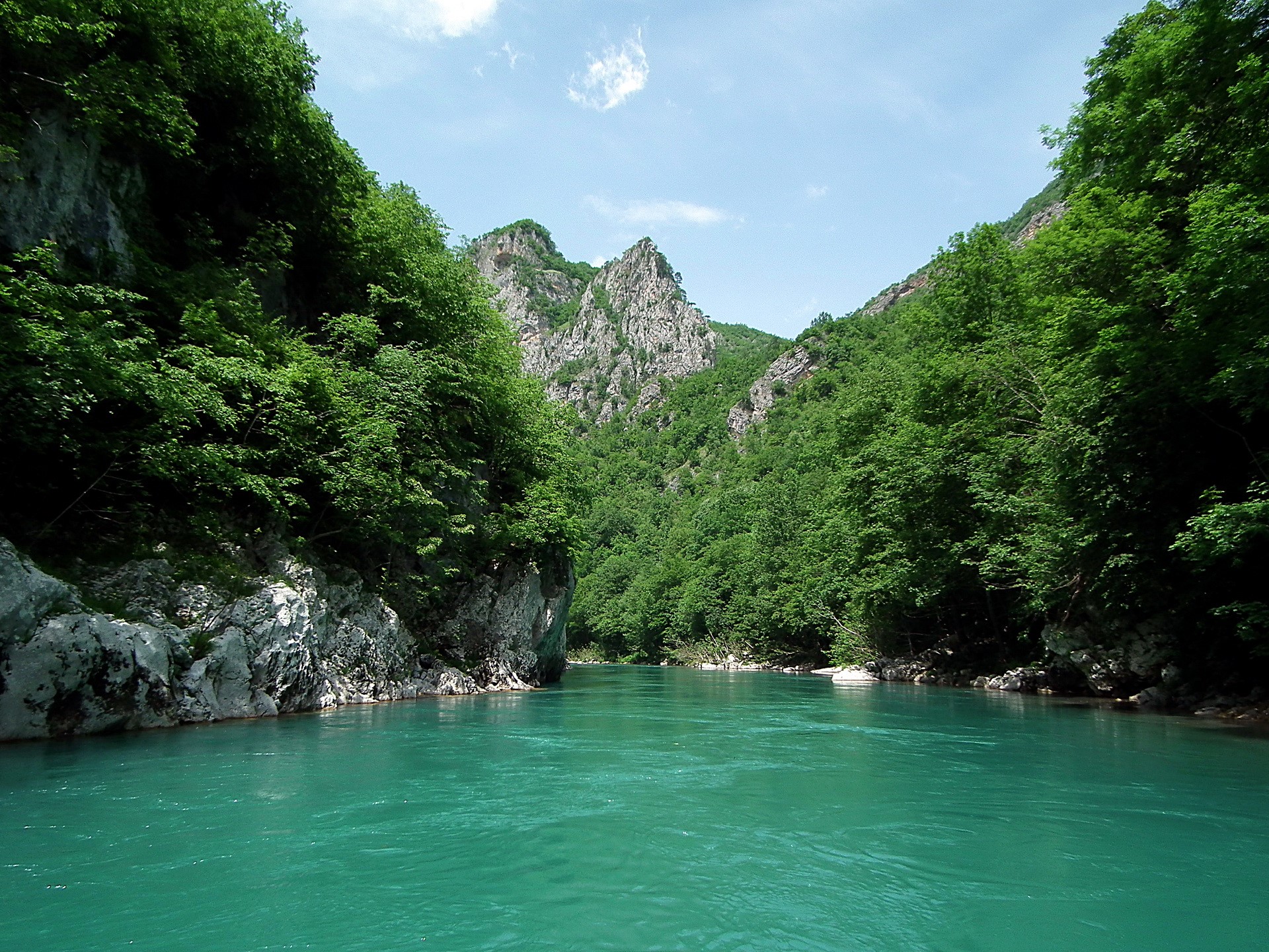Turquoise river flowing through a lush green canyon HD Wallpaper