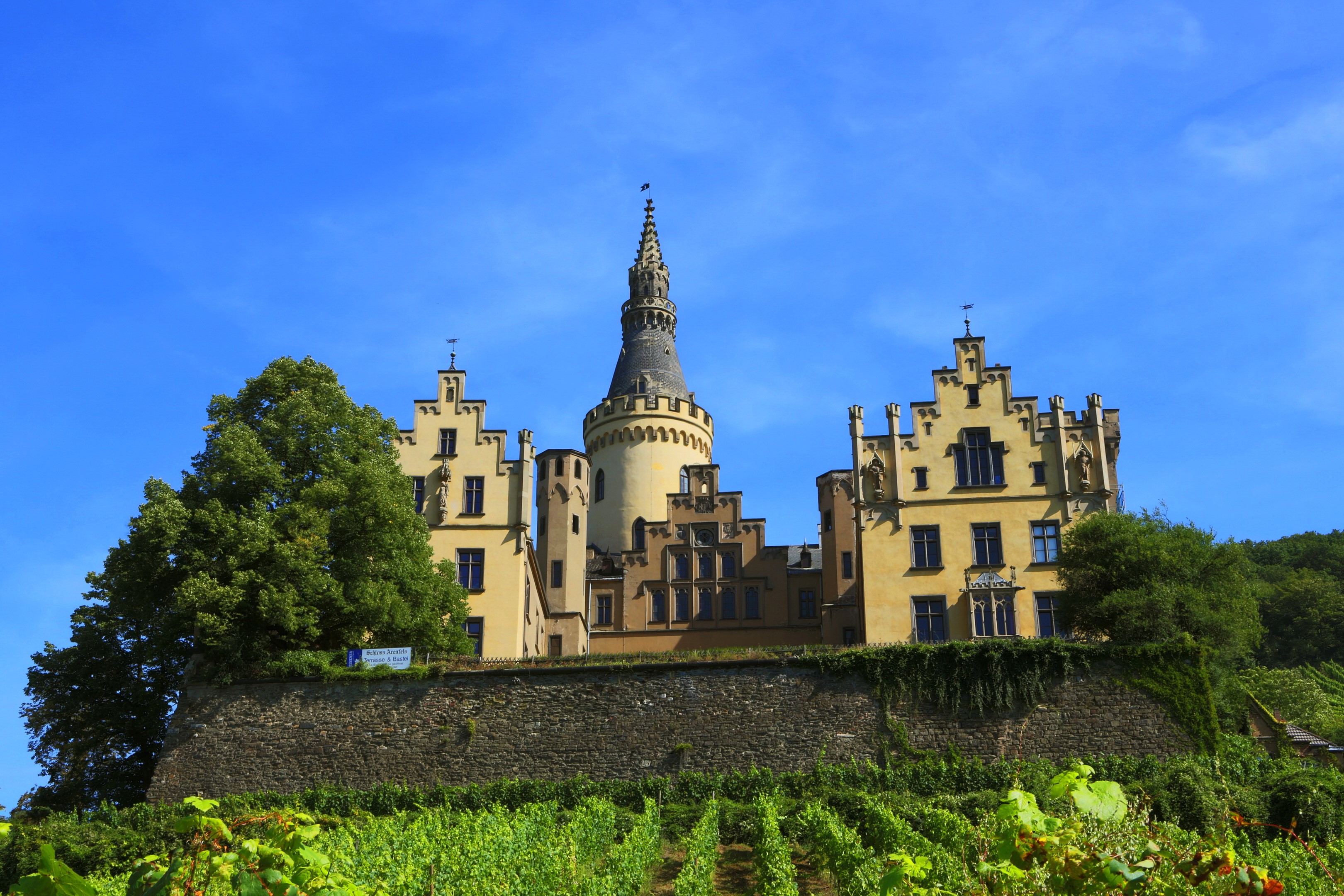 Arenfels Castle in Germany with vineyards HD Wallpaper