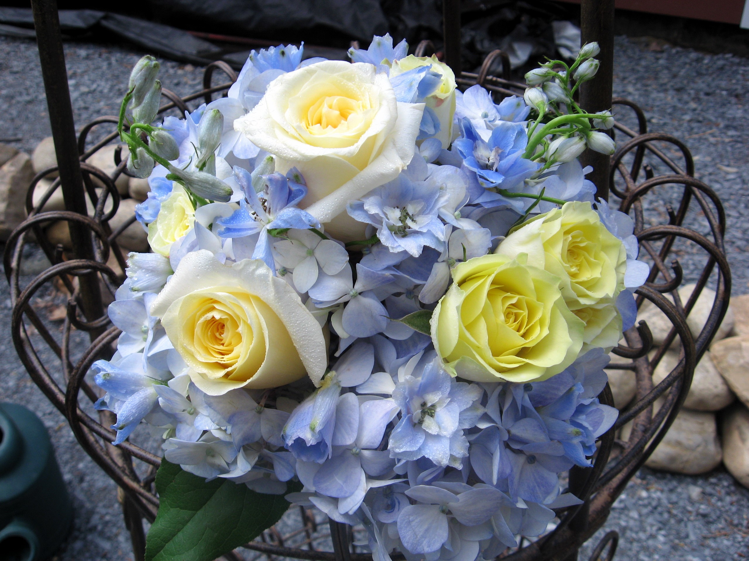 Bouquet of yellow roses and blue hydrangeas HD Wallpaper