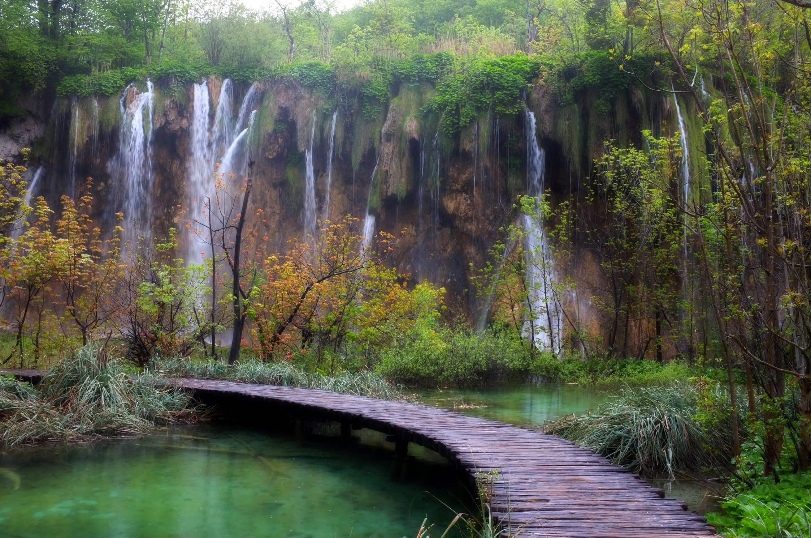 Wooden walkway through a park with waterfalls HD Wallpaper