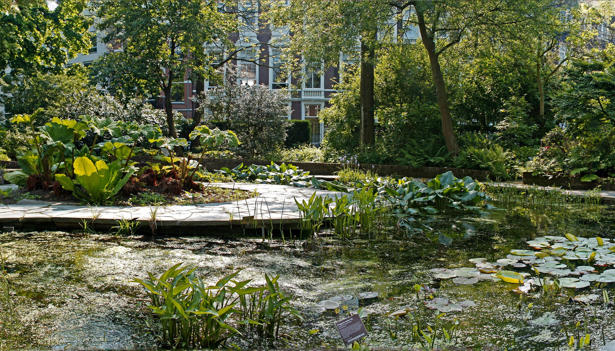 Hortus Botanicus Gardens Pond in Amsterdam HD Wallpaper