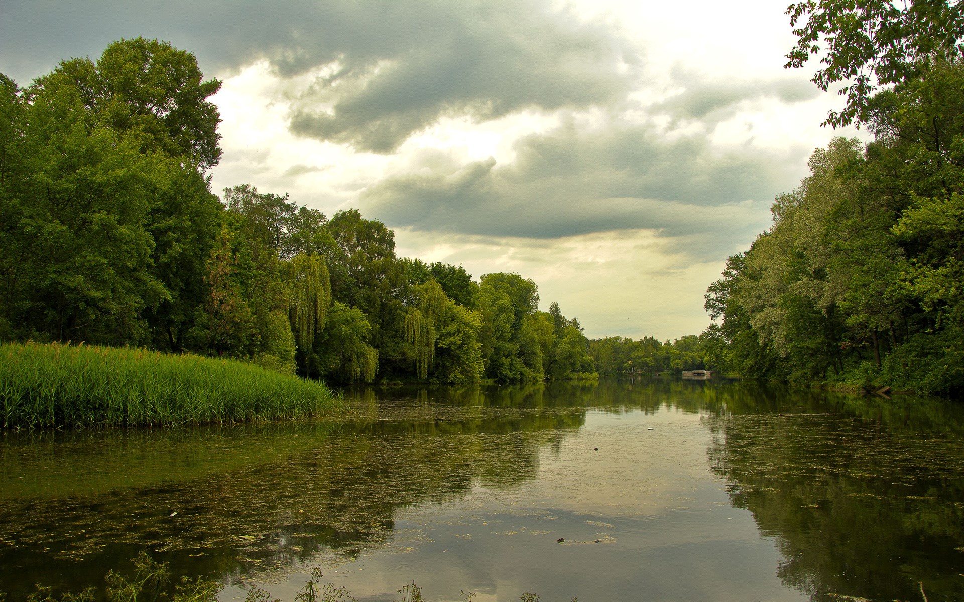 A tranquil lake surrounded by lush green trees under a cloudy sky. HD Wallpaper