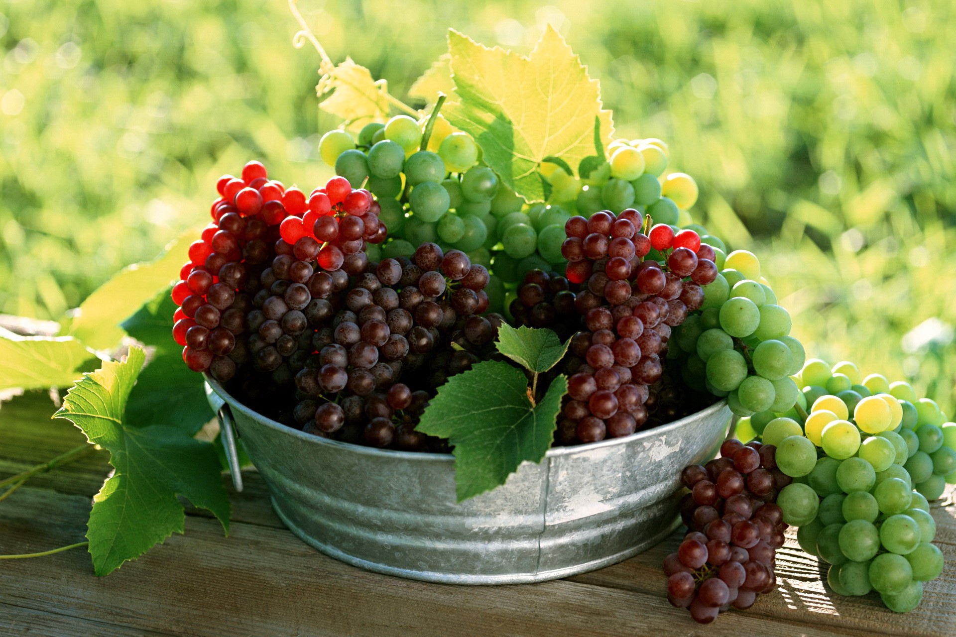 Grapes in a metal bucket on a wooden surface HD Wallpaper