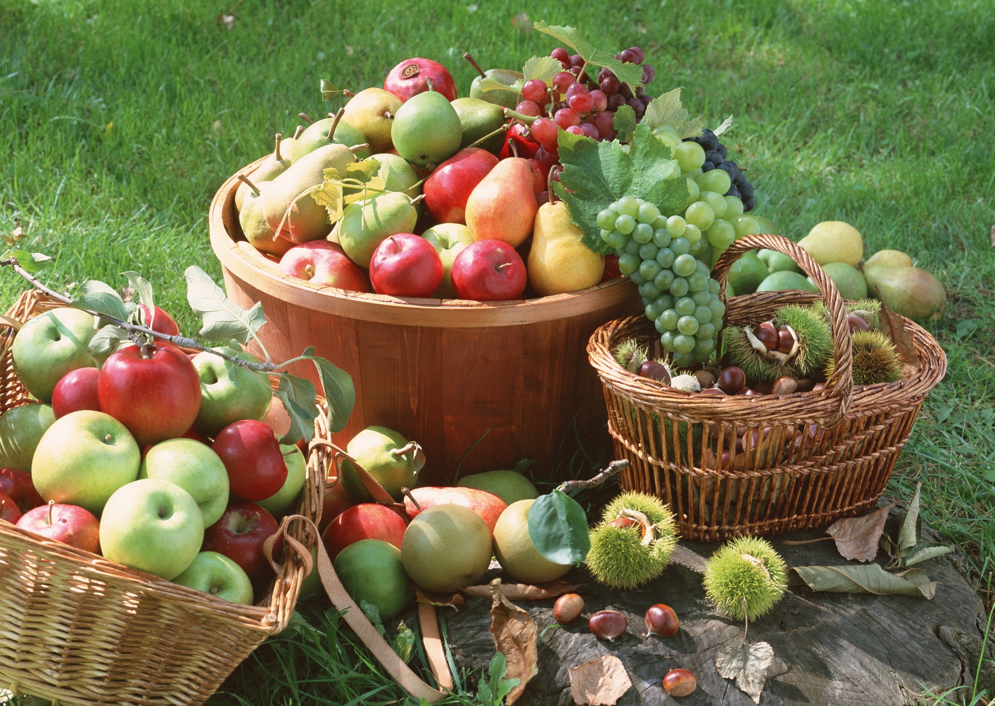 Assortment of fruits and chestnuts in baskets and wooden tub HD Wallpaper