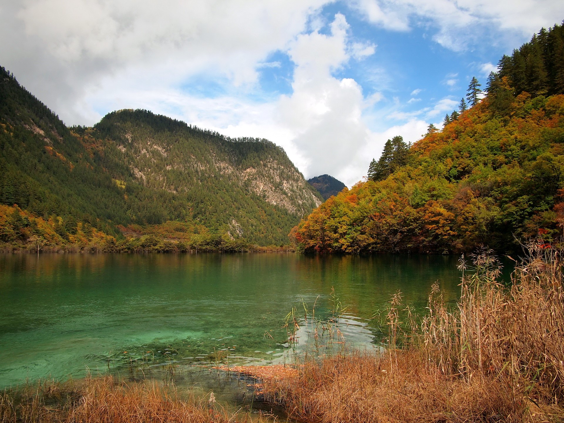 Autumn forest reflecting in a clear lake HD Wallpaper