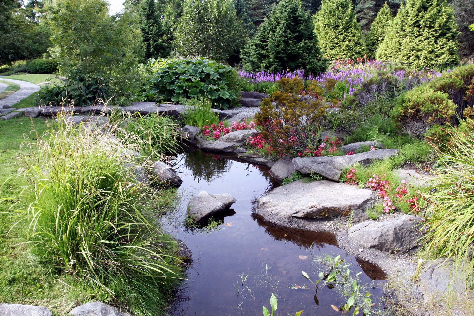 Garden with a pond and flowers HD Wallpaper