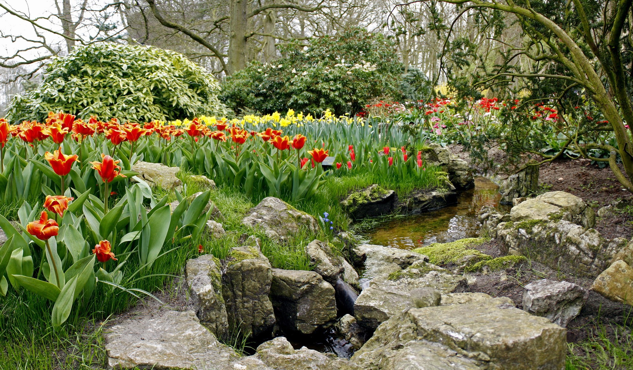 Keukenhof Gardens Lisse with Tulips and Stream HD Wallpaper