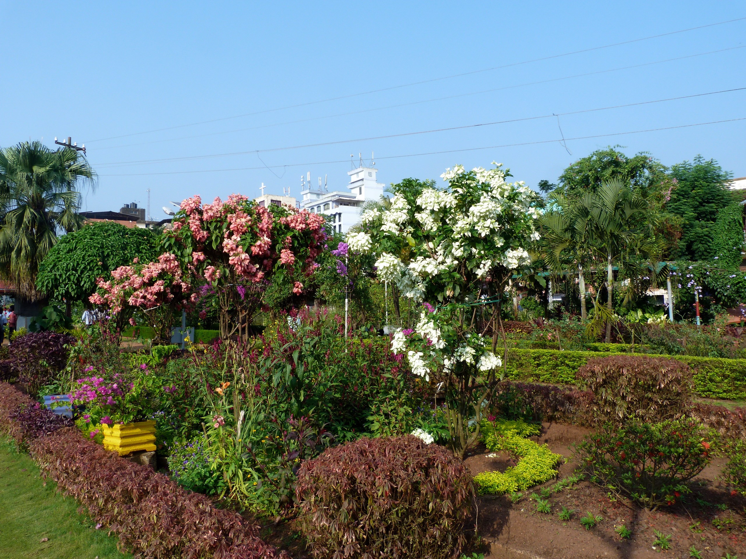 Beautiful garden with blooming trees and plants HD Wallpaper