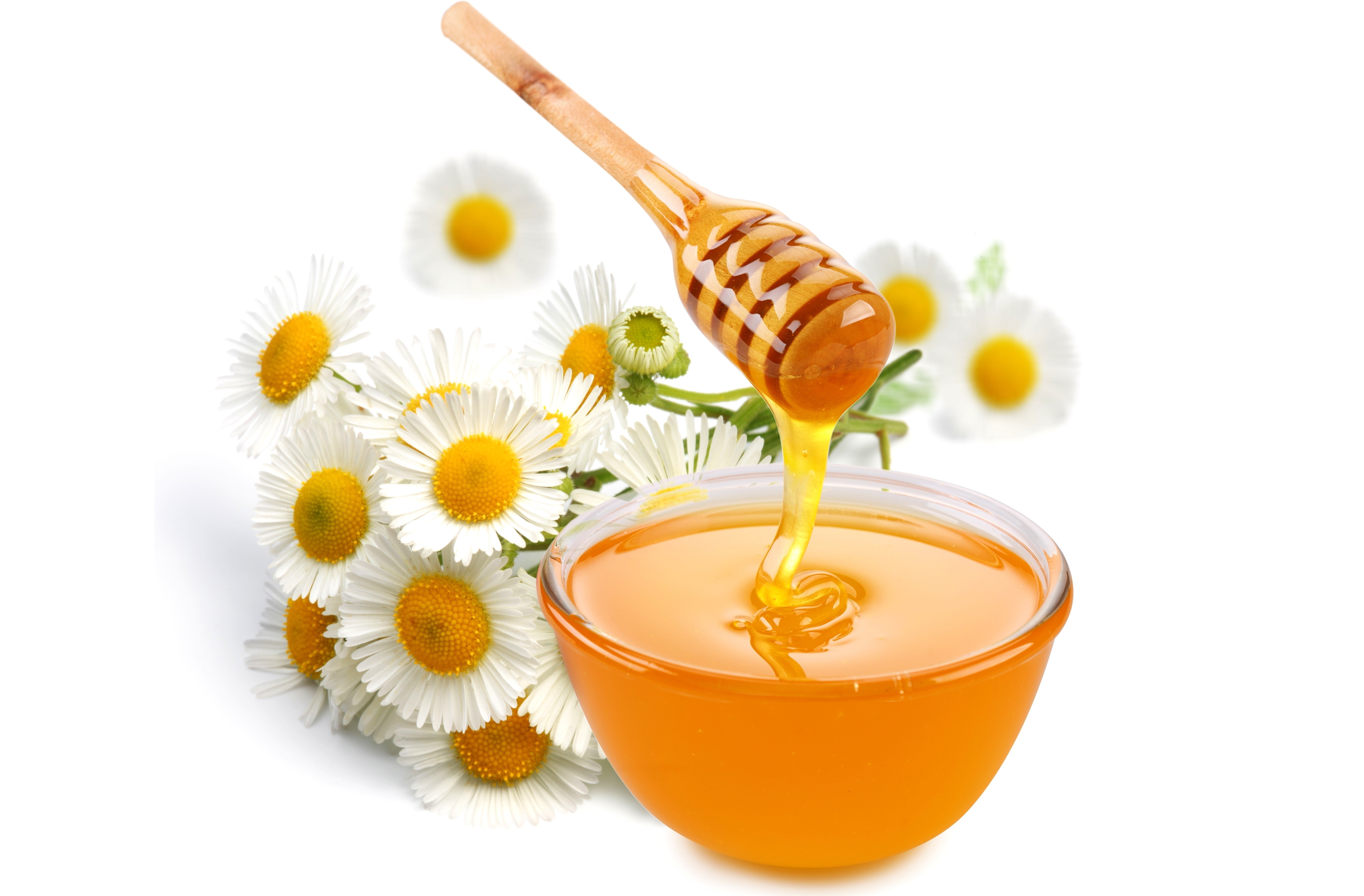 Honey and Chamomile Flowers HD Wallpaper