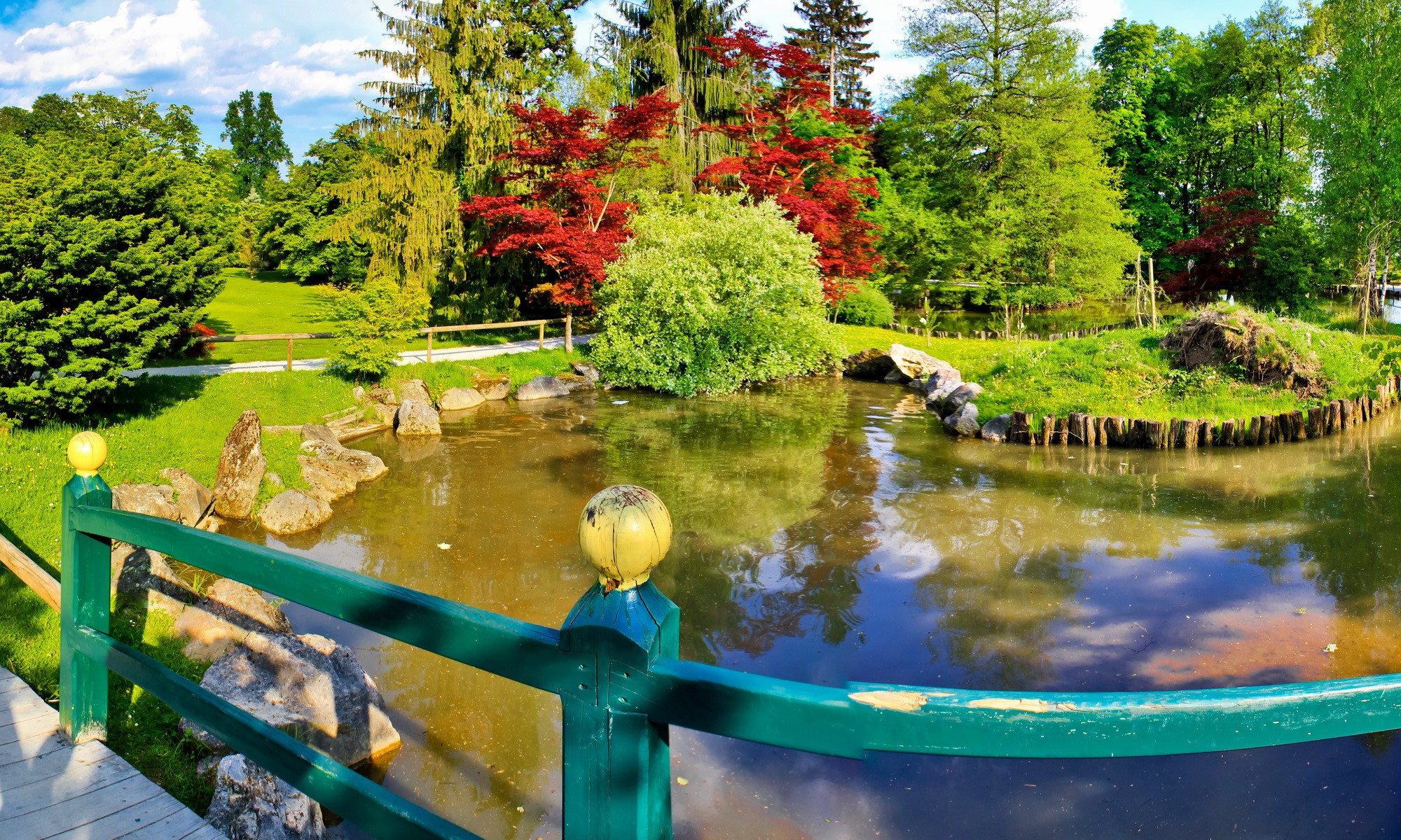 Japanese Garden with Pond and Red Maple Trees HD Wallpaper