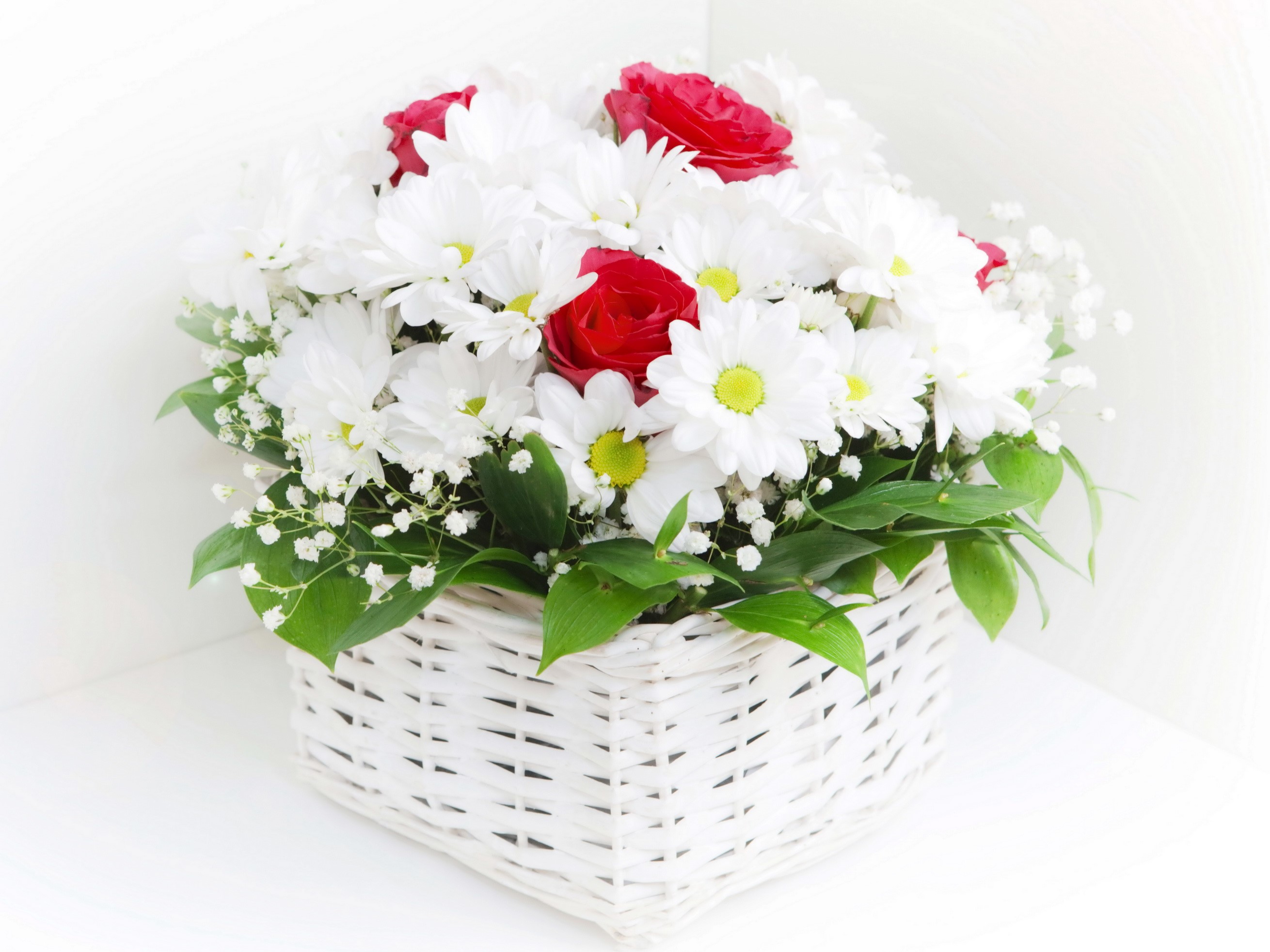 White camomiles and red roses in a white basket HD Wallpaper