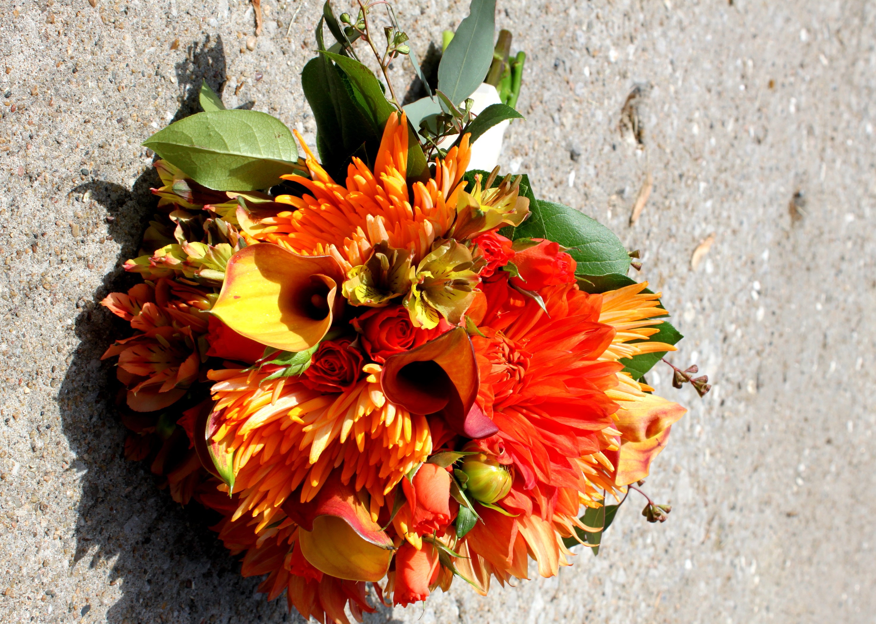 Orange and yellow flower bouquet on concrete HD Wallpaper