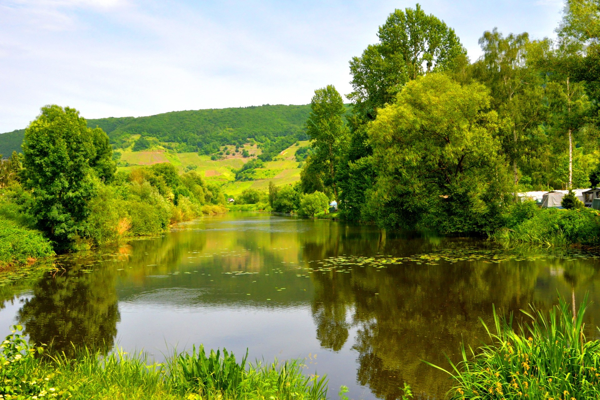 Lake in Germany with rolling hills and trees HD Wallpaper