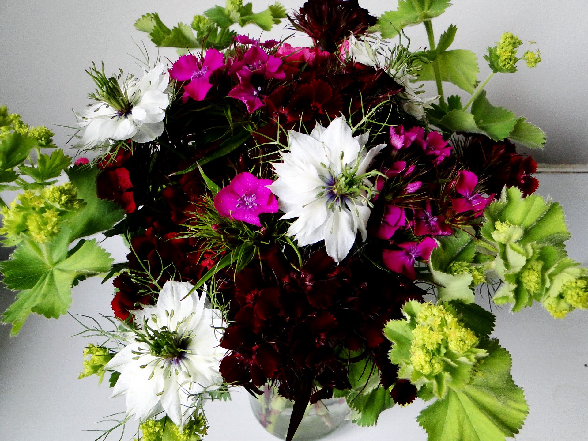 Bouquet of white, pink, and dark red flowers with green foliage HD Wallpaper