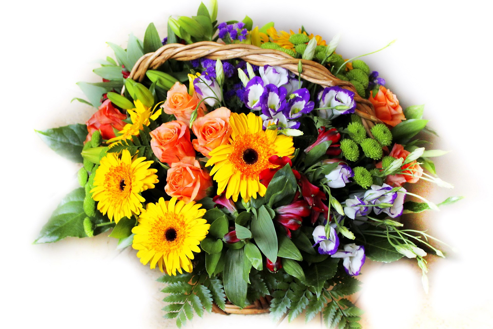 Colorful Flower Basket Arrangement HD Wallpaper