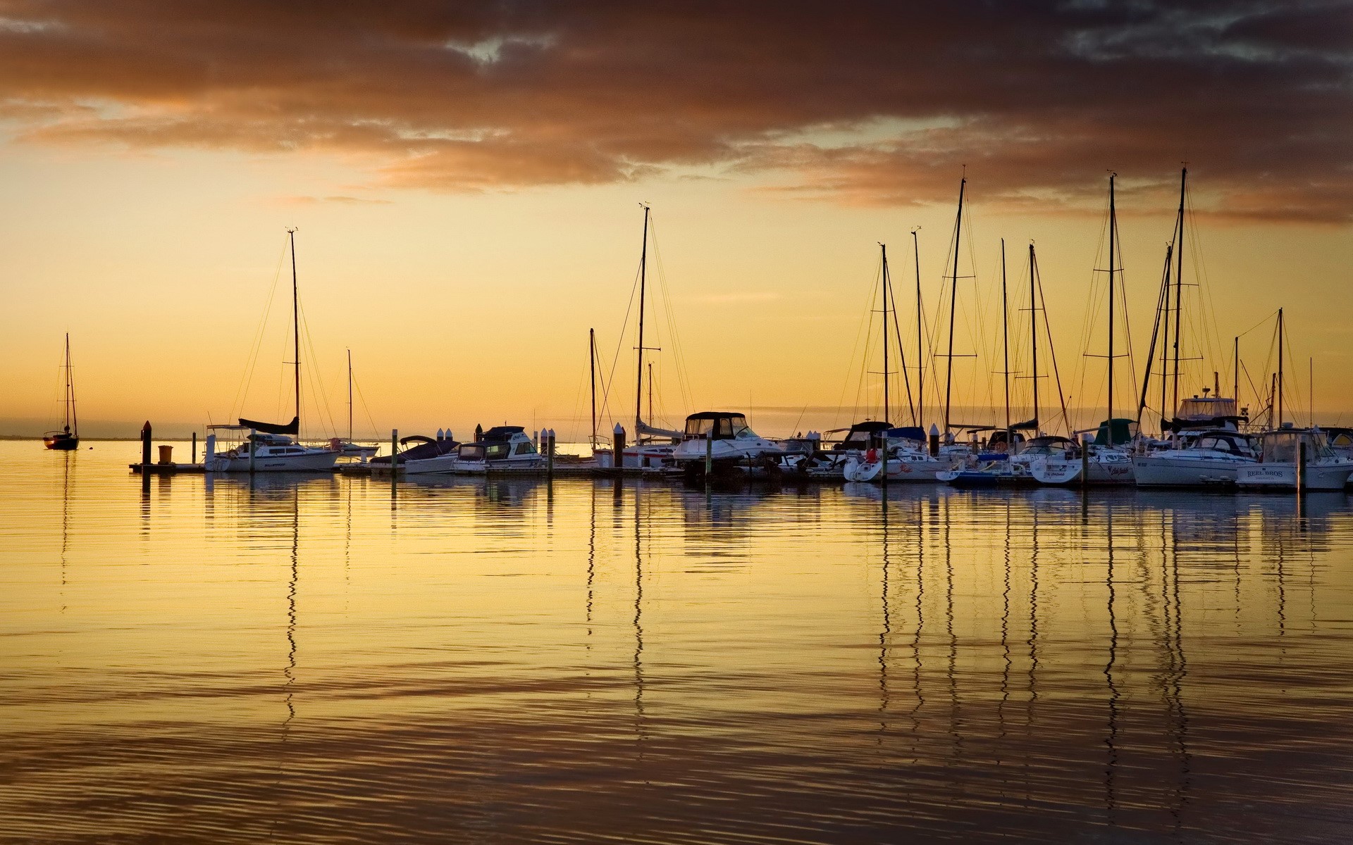Sailboats docked at a marina during sunset HD Wallpaper