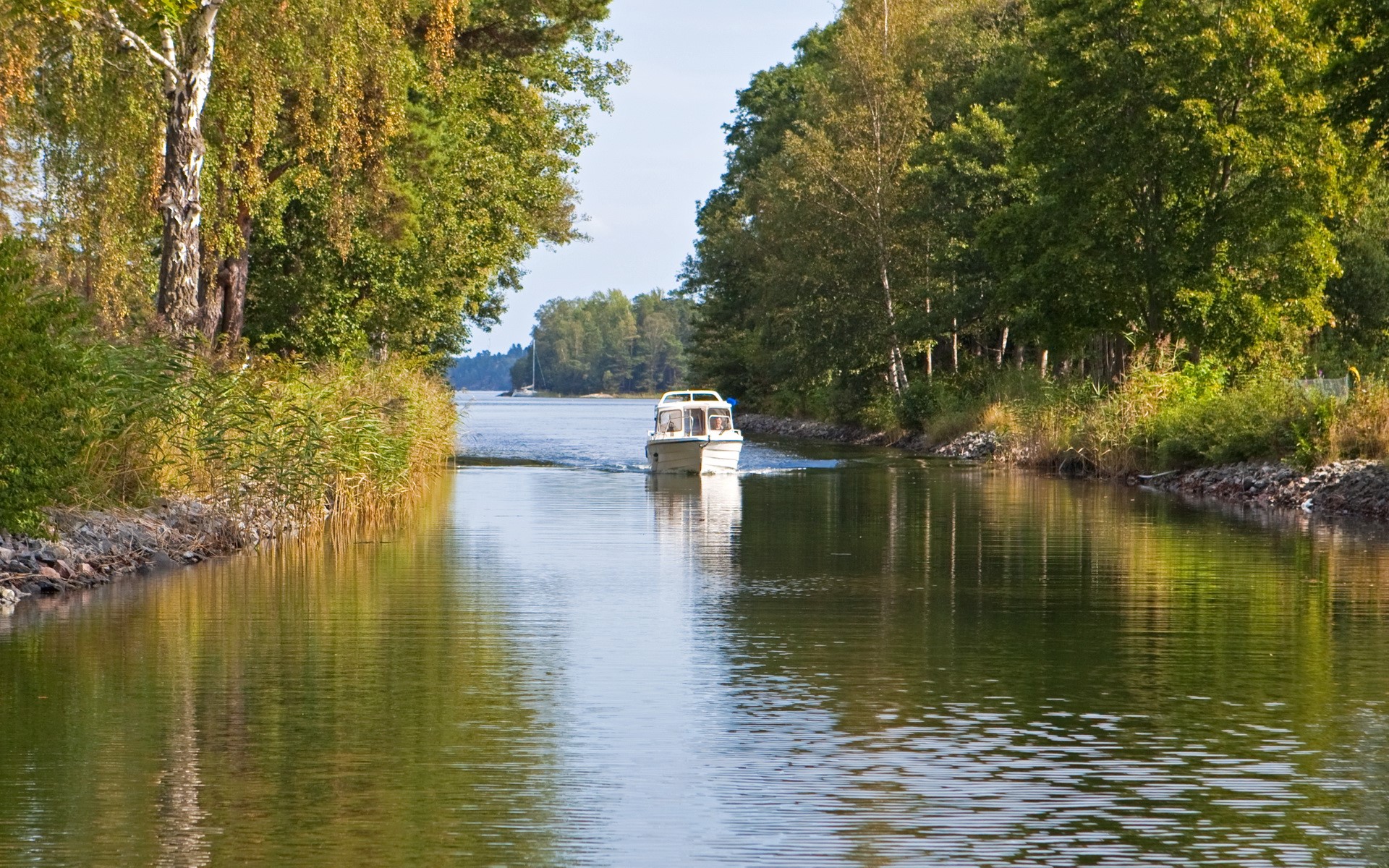 Boat traveling on a canal surrounded by trees HD Wallpaper