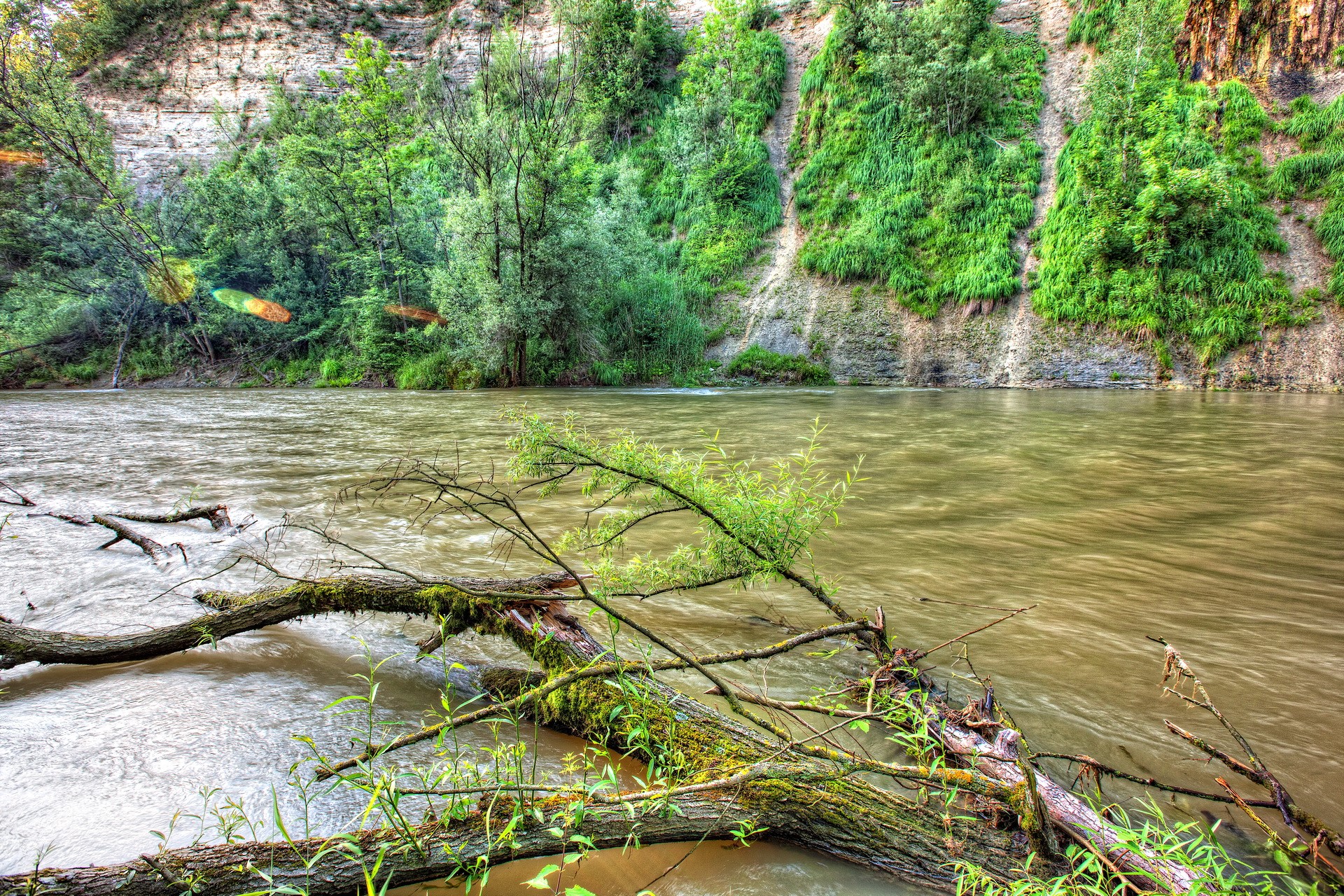 River flowing past a wooded cliffside HD Wallpaper