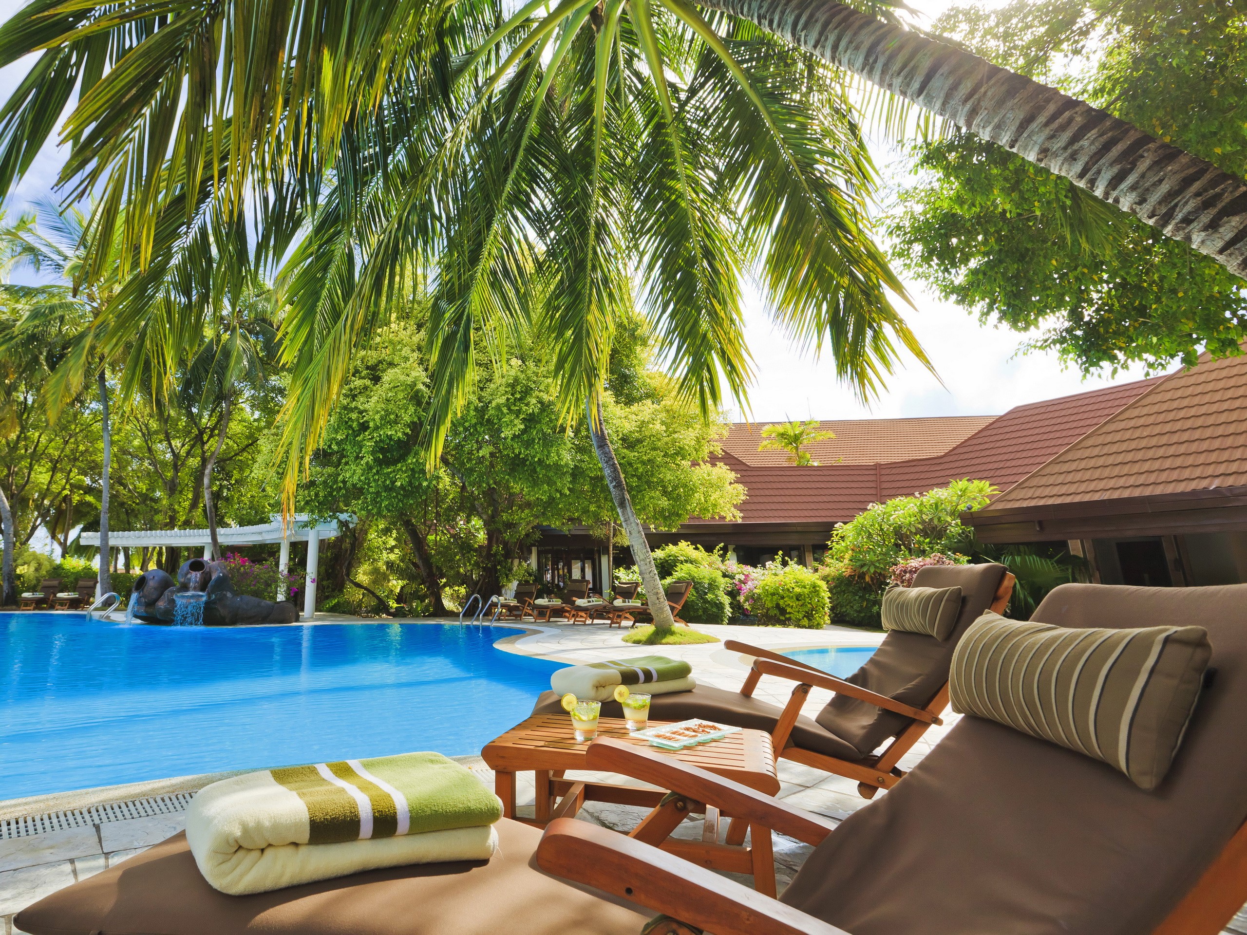 Resort pool with palm trees and lounge chairs in Maldives HD Wallpaper