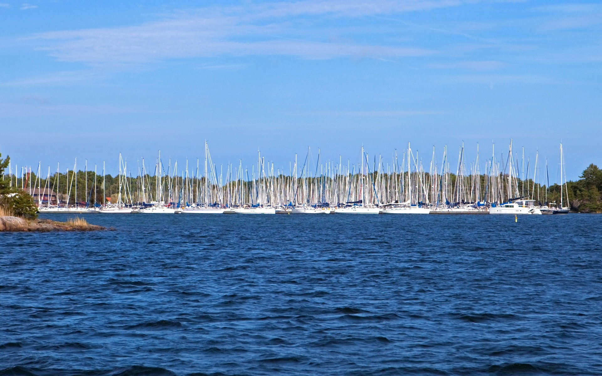 Sailboats docked in a harbor with trees and blue sky HD Wallpaper