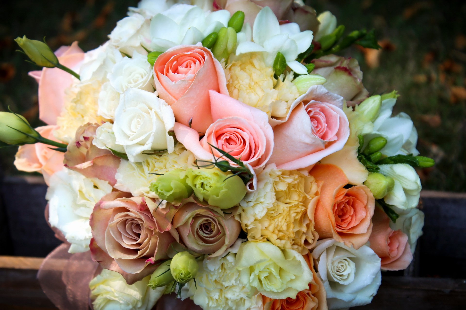 Bouquet of Roses and Freesias HD Wallpaper