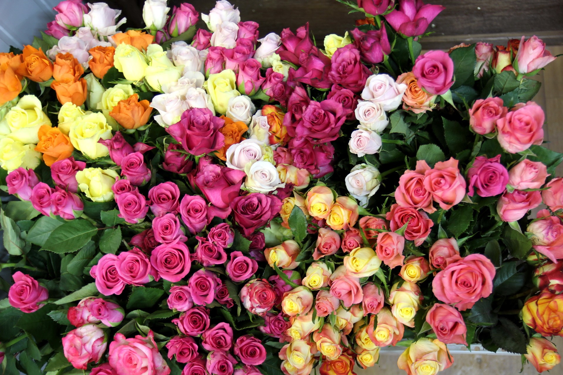 A large bouquet of colorful roses HD Wallpaper