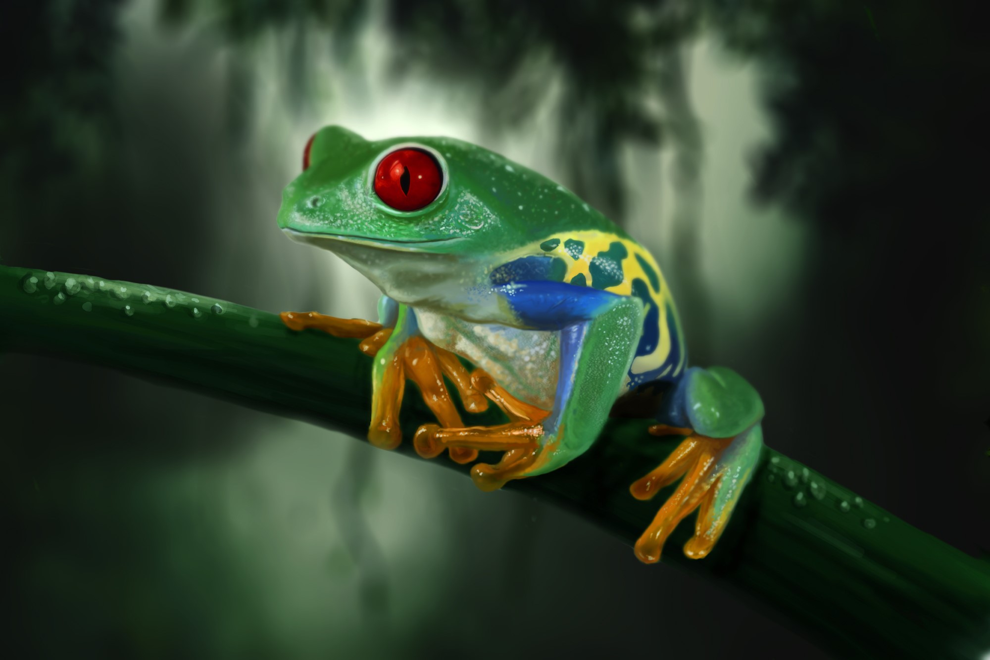 Red-eyed tree frog on a branch HD Wallpaper