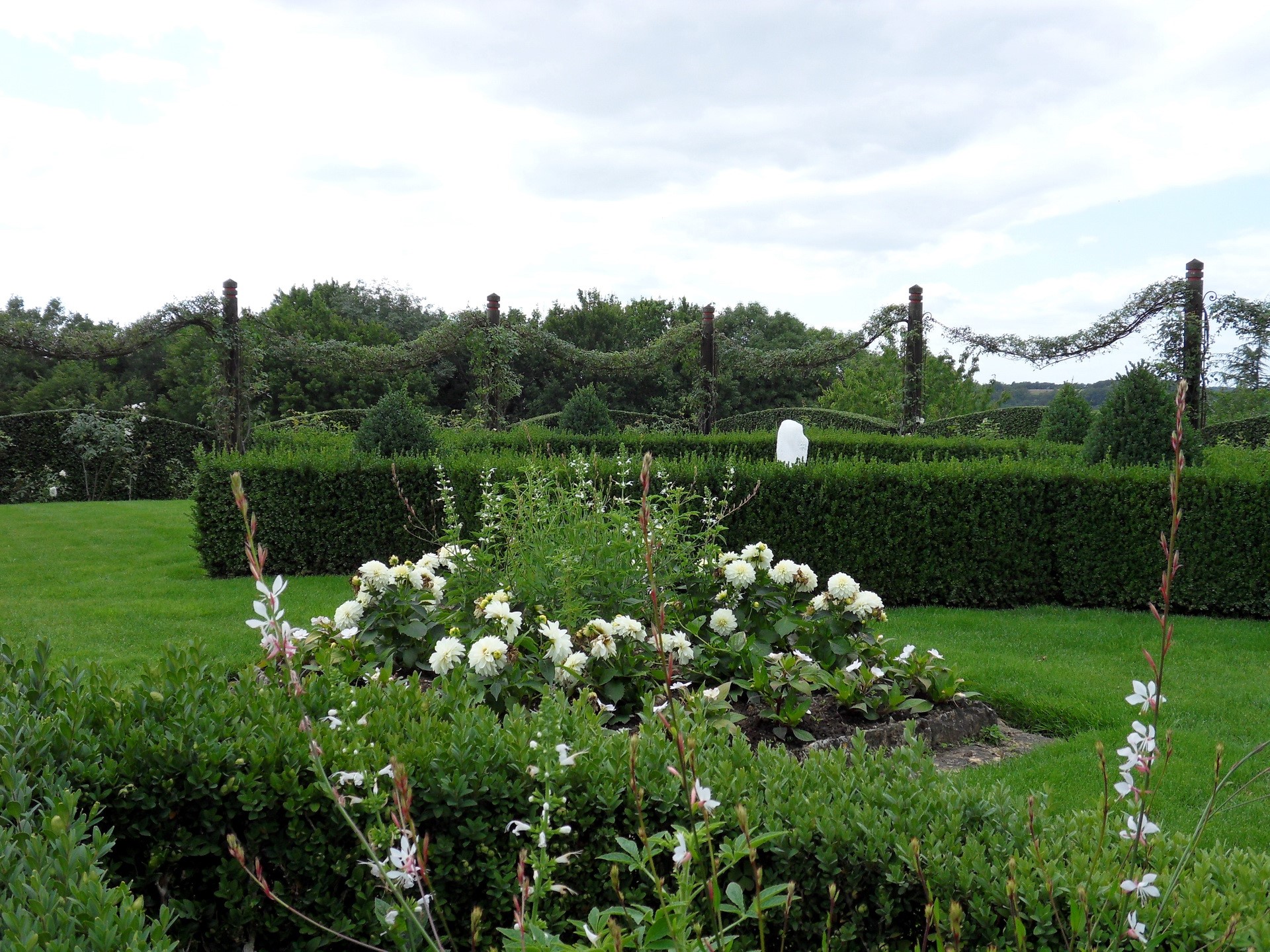 Formal garden with manicured hedges and white flowers HD Wallpaper