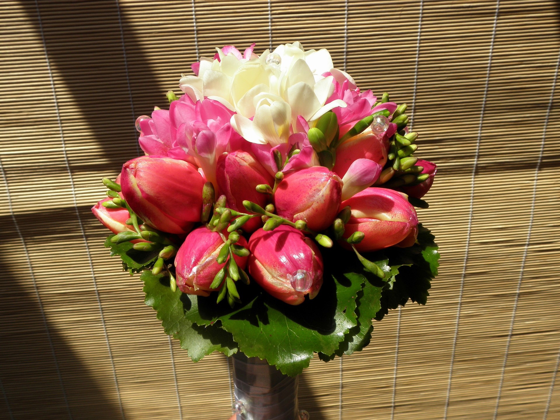 Bouquet of Tulips and Freesia HD Wallpaper
