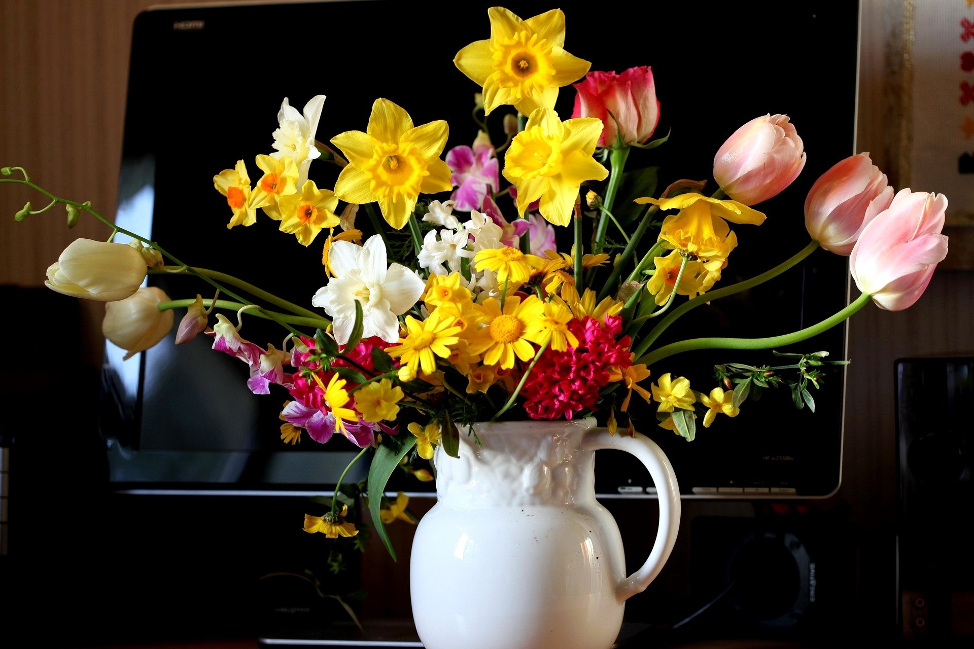 Bouquet of Spring Flowers in a White Pitcher HD Wallpaper