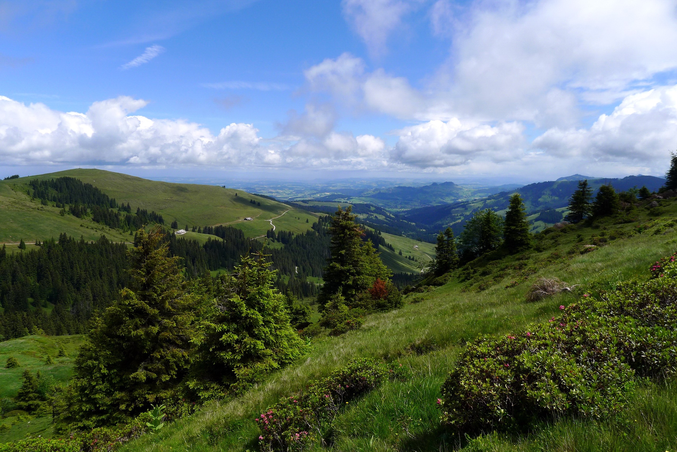 Mountain landscape with green hills and trees in Switzerland HD Wallpaper
