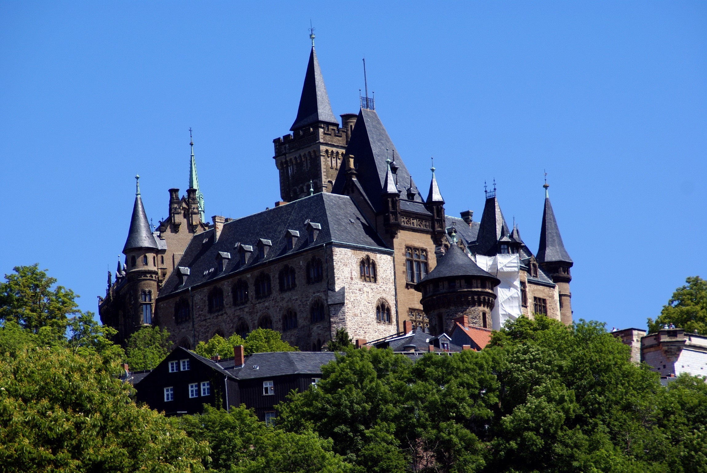 Castle on a hill with trees and blue sky HD Wallpaper