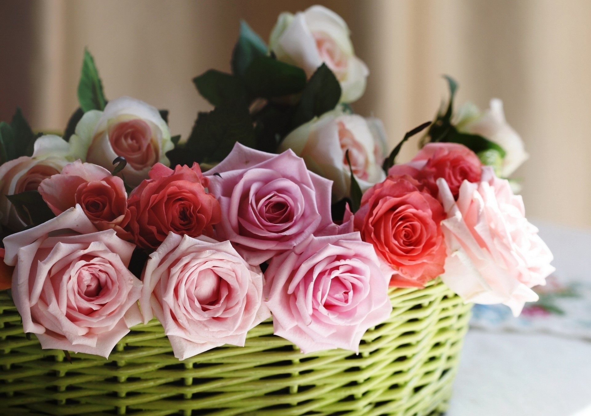 Basket of Roses HD Wallpaper