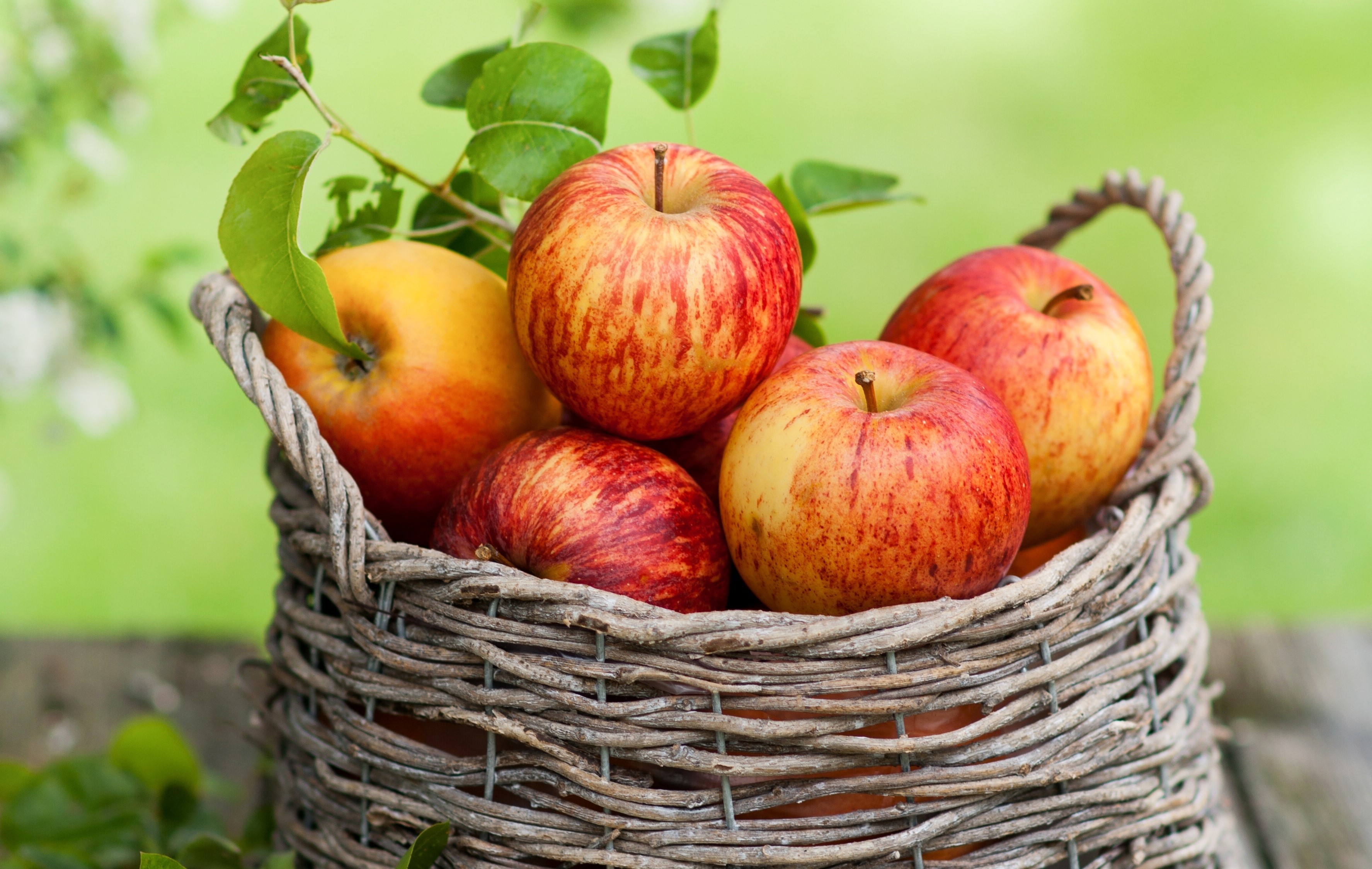 Basket of red and yellow apples with green leaves HD Wallpaper