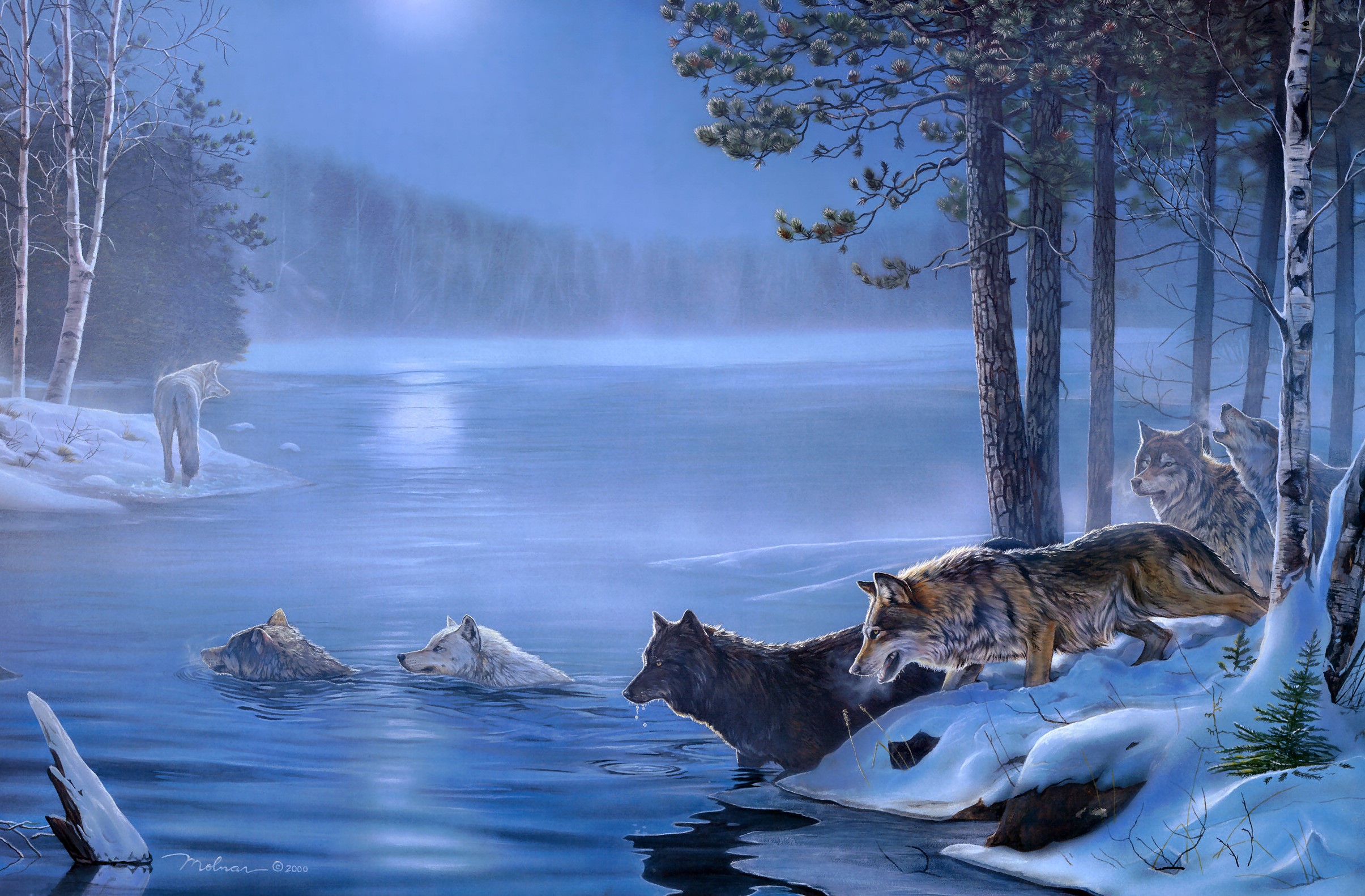 Wolves in a Snowy Lake at Night HD Wallpaper