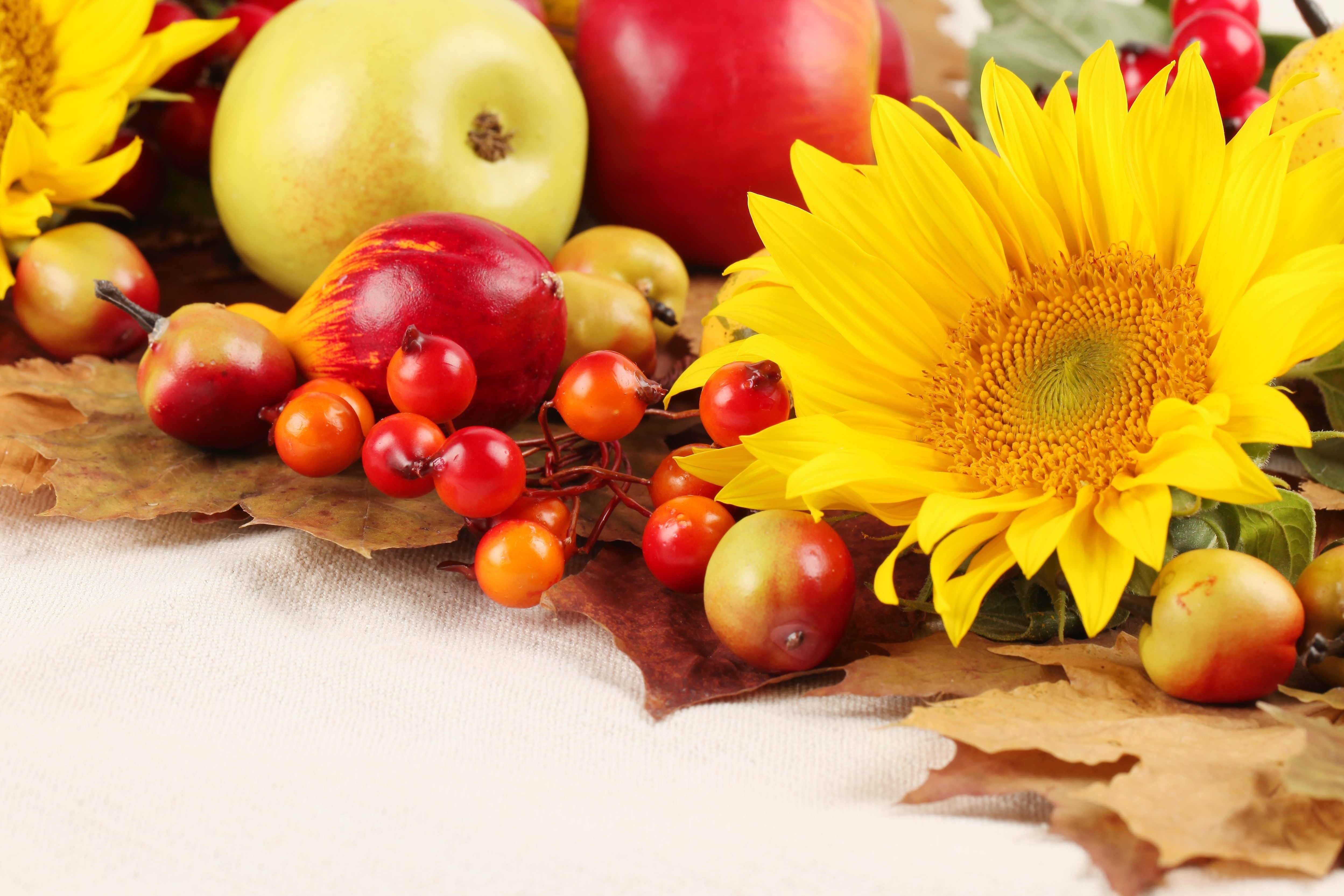 Autumn Harvest Fruit and Sunflower Arrangement HD Wallpaper
