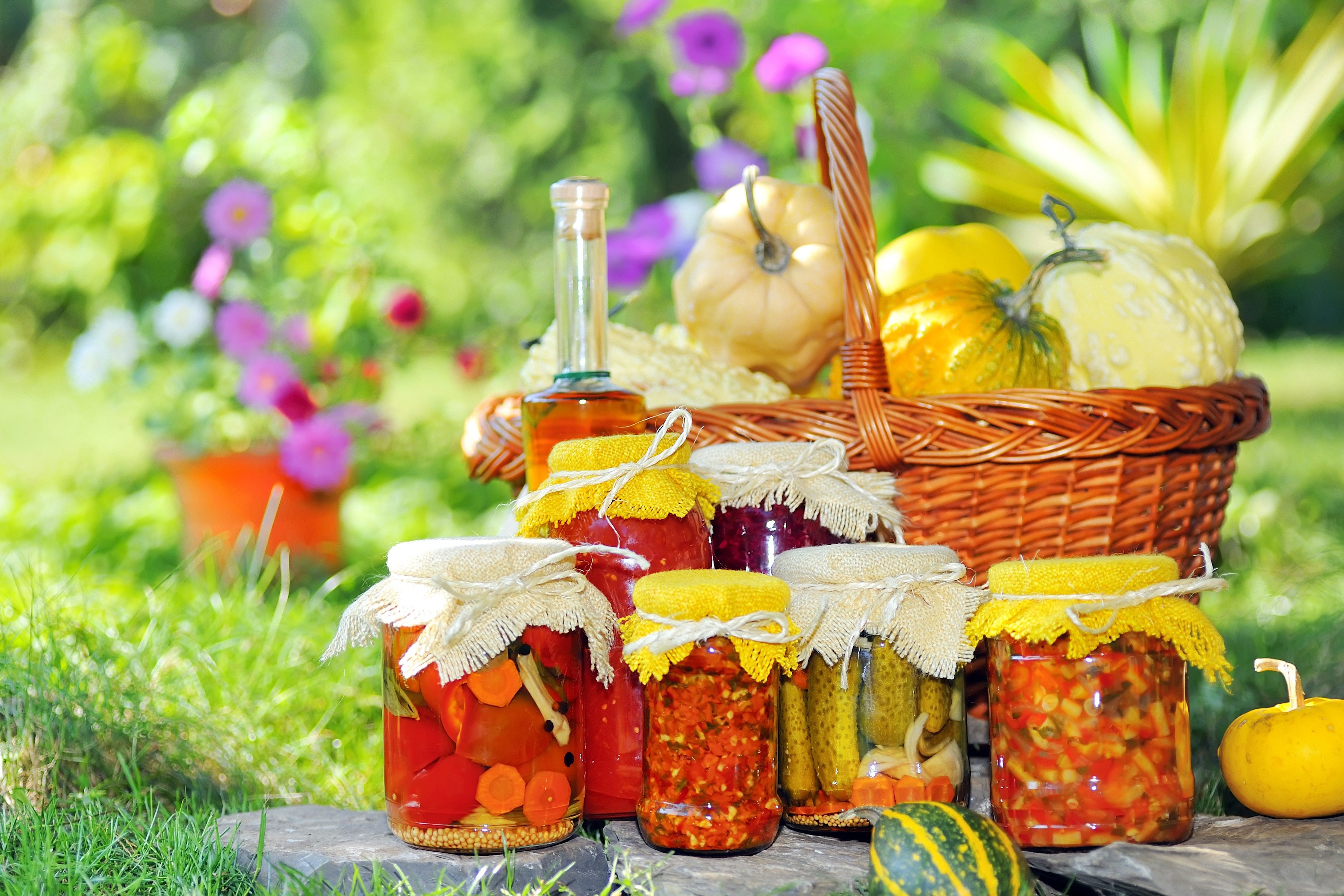 Jars of preserved vegetables and pumpkins in a garden HD Wallpaper