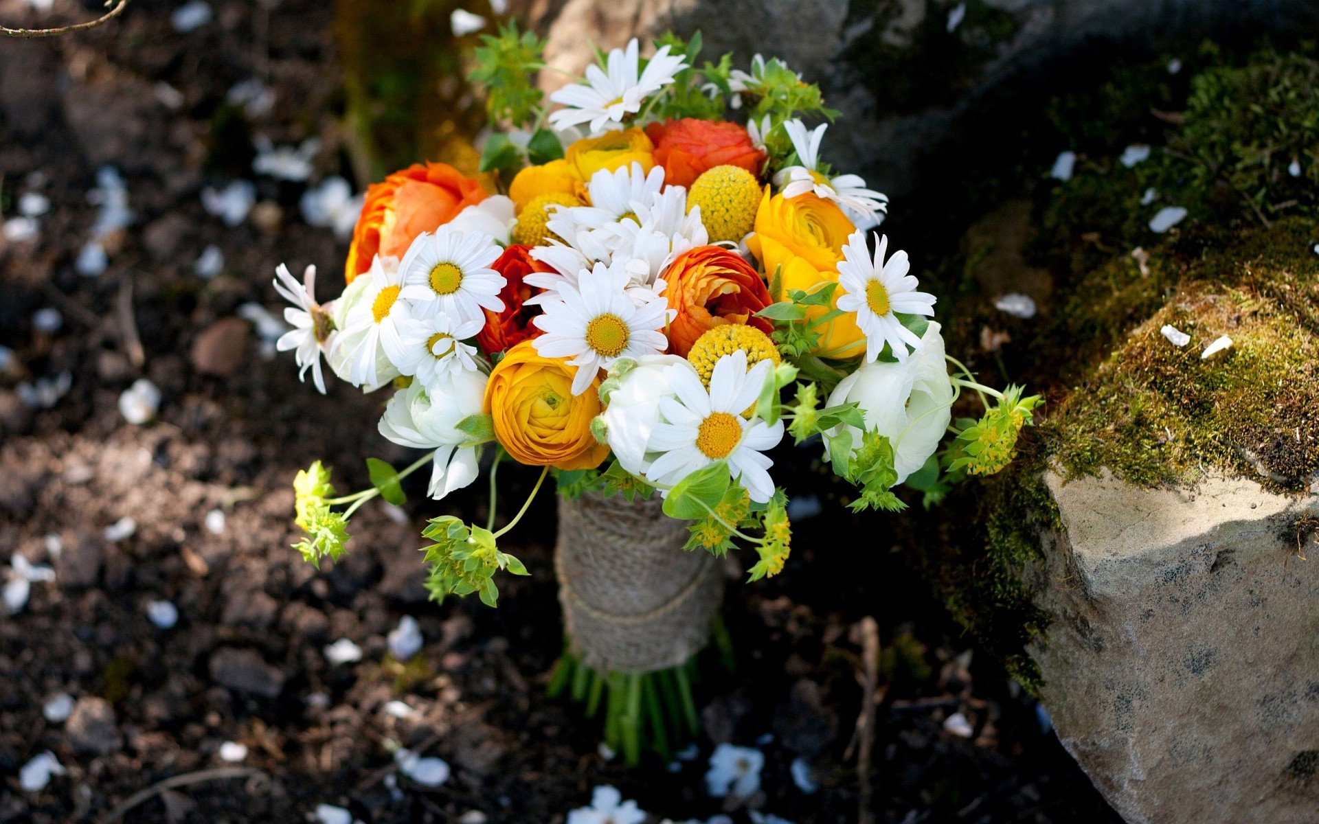 Bouquet of camomiles and ranunculus flowers HD Wallpaper
