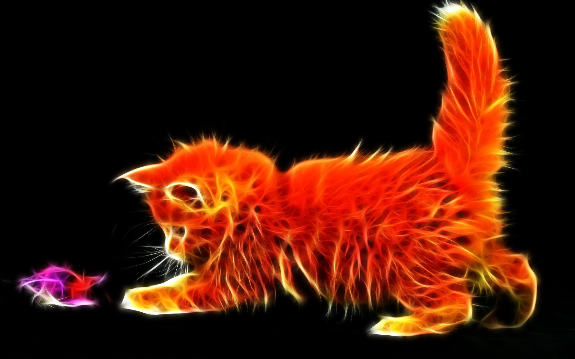 Fiery kitten playing with a toy HD Wallpaper