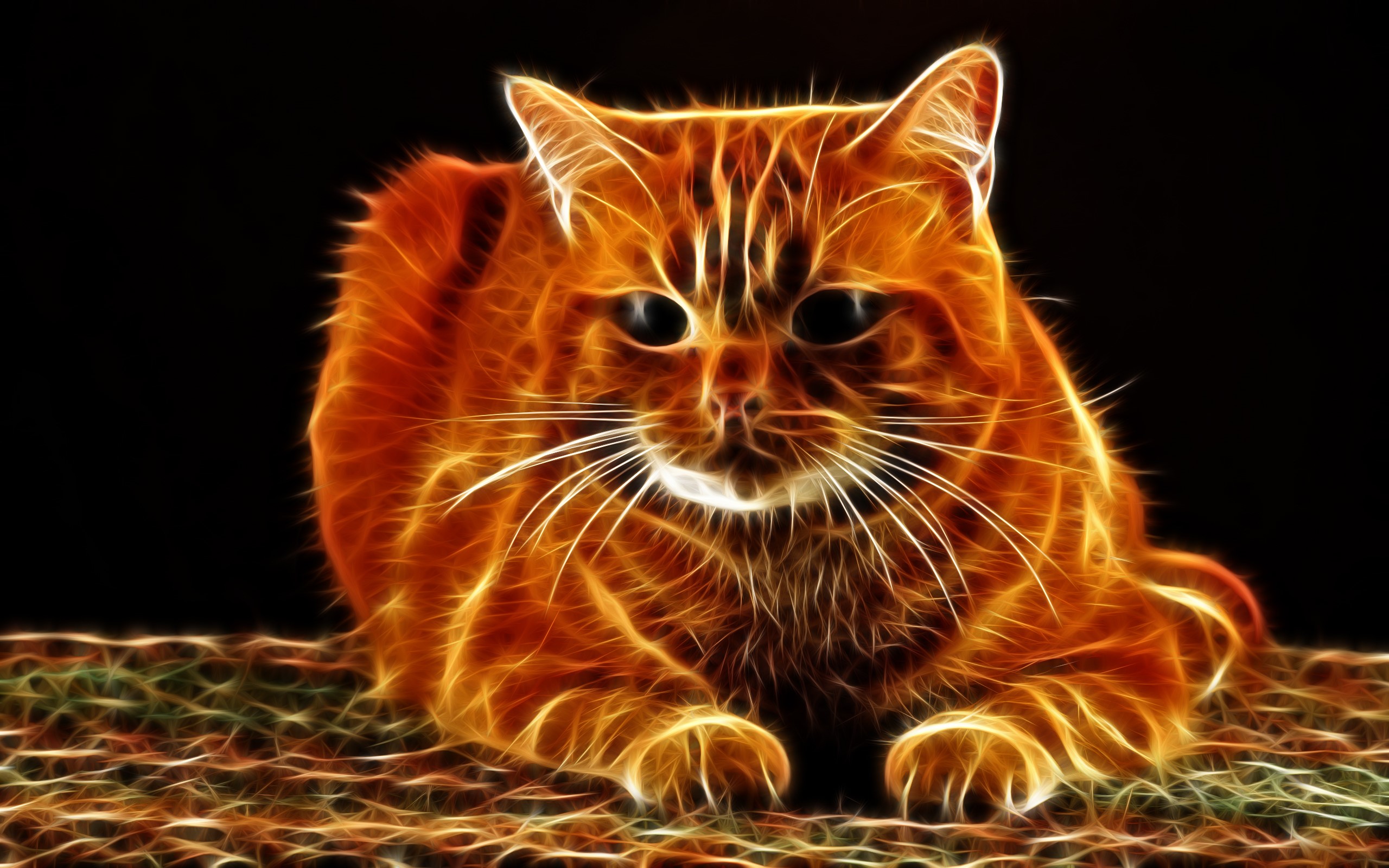 Orange cat with glowing fractal patterns HD Wallpaper
